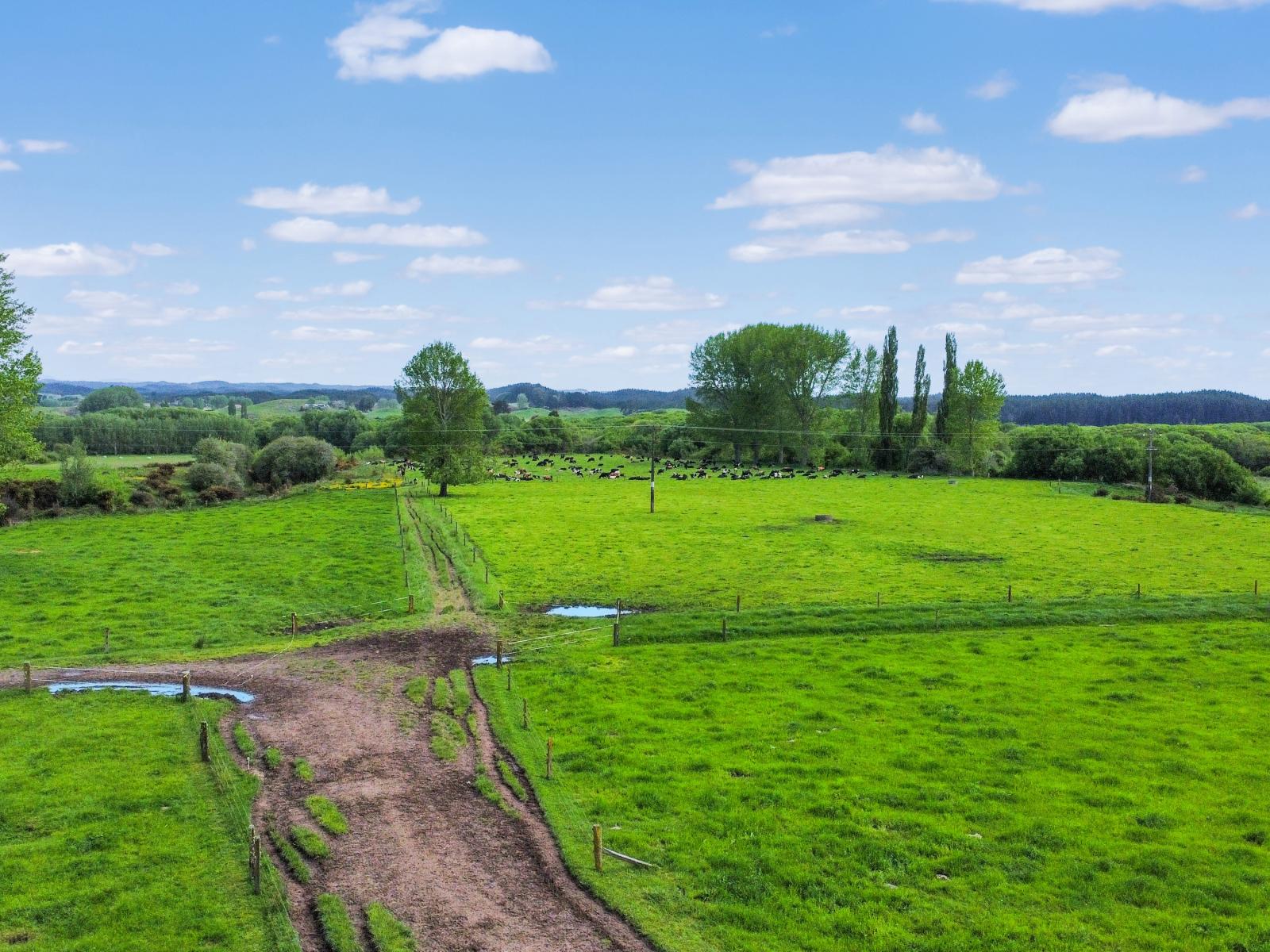 4193 Galatea Road, Galatea