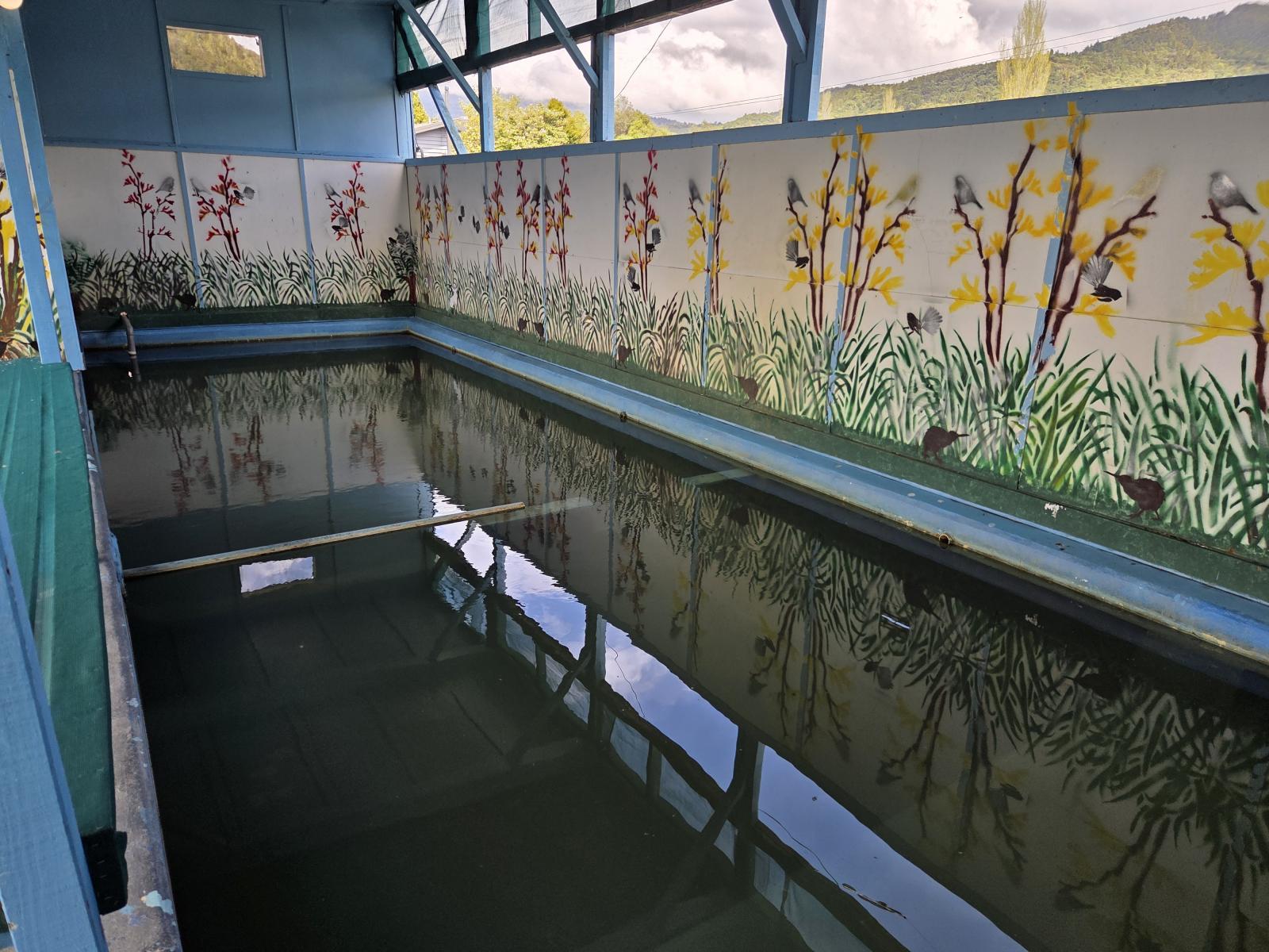 426 Tokaanu Road, Turangi