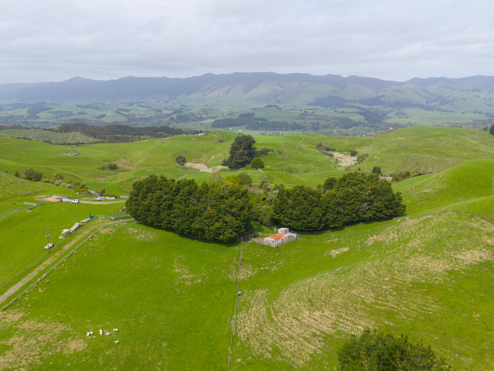 137 Zigzag Road, Pohangina Valley