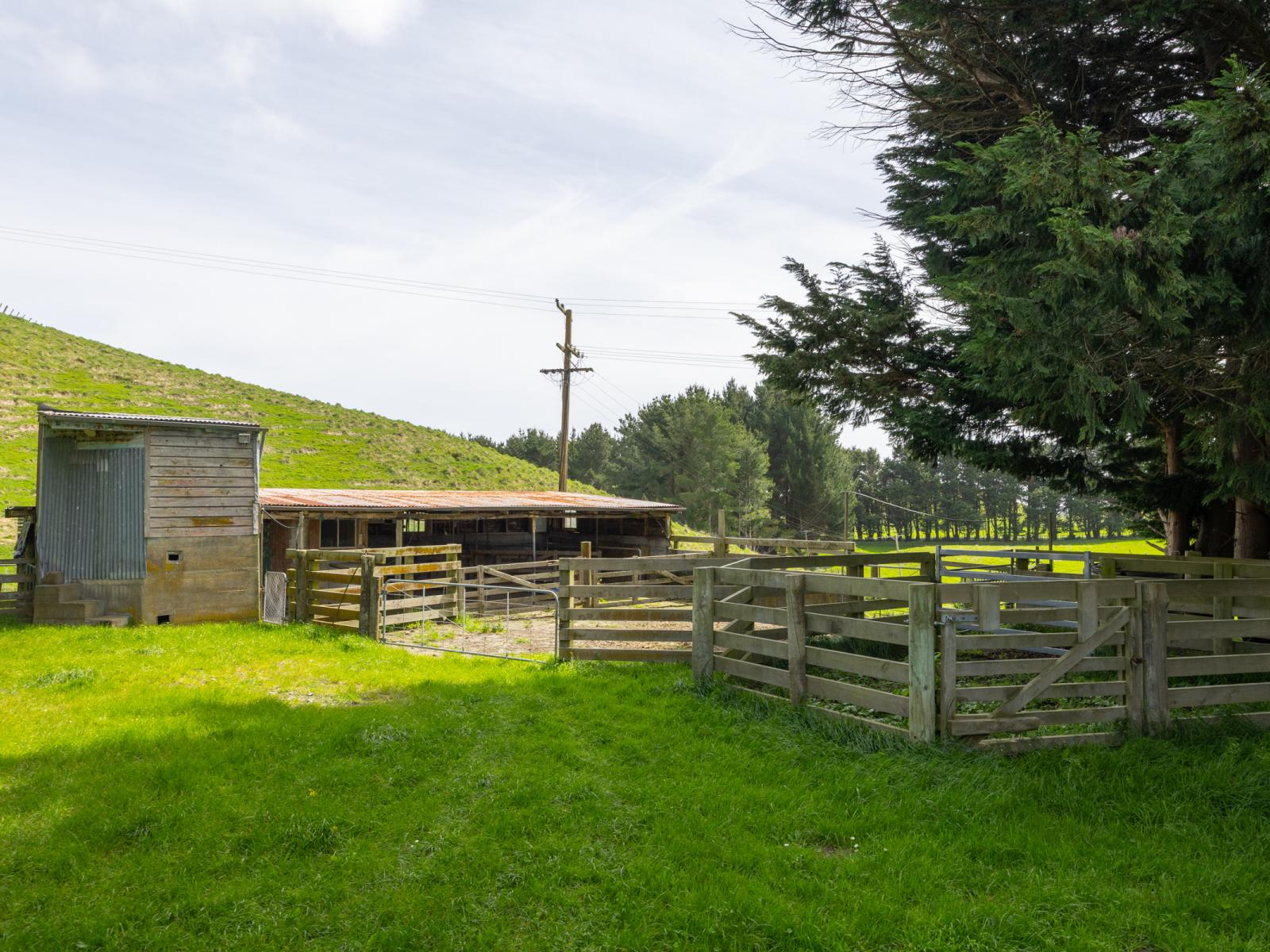 137 Zigzag Road, Pohangina Valley