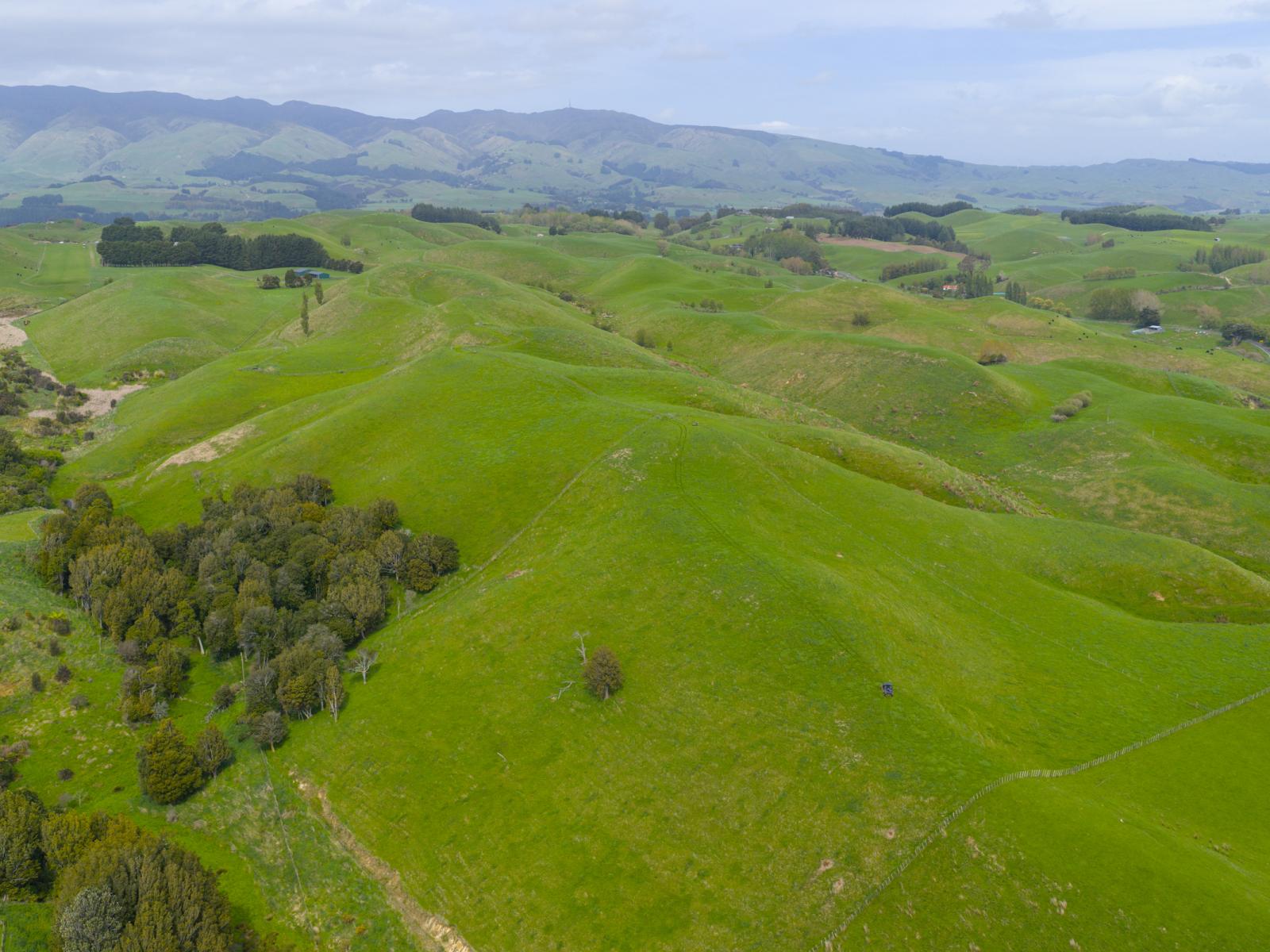 137 Zigzag Road, Pohangina Valley