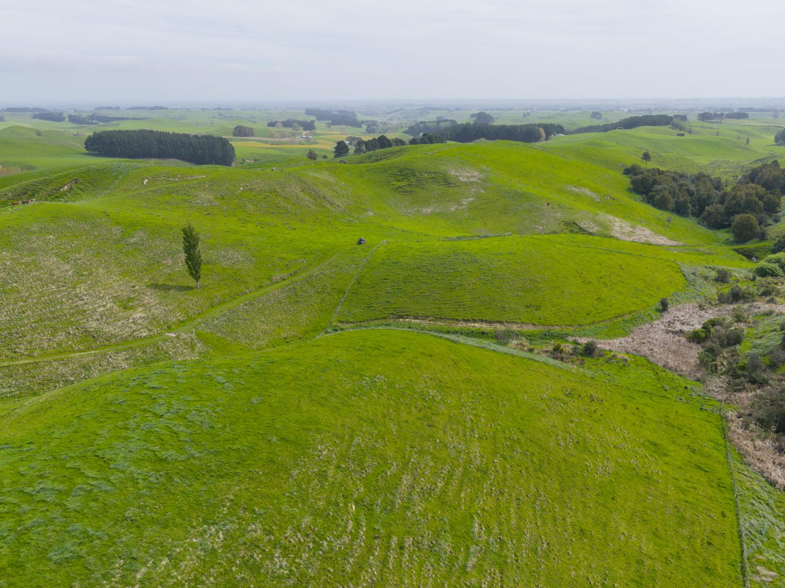 137 Zigzag Road, Pohangina Valley