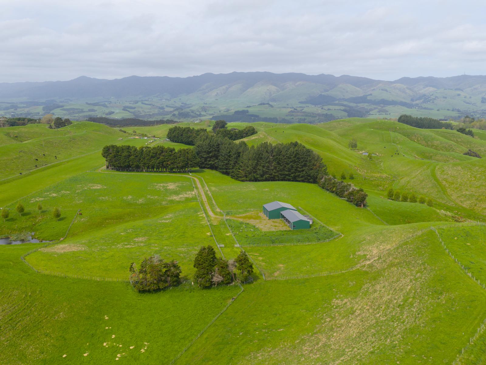 137 Zigzag Road, Pohangina Valley