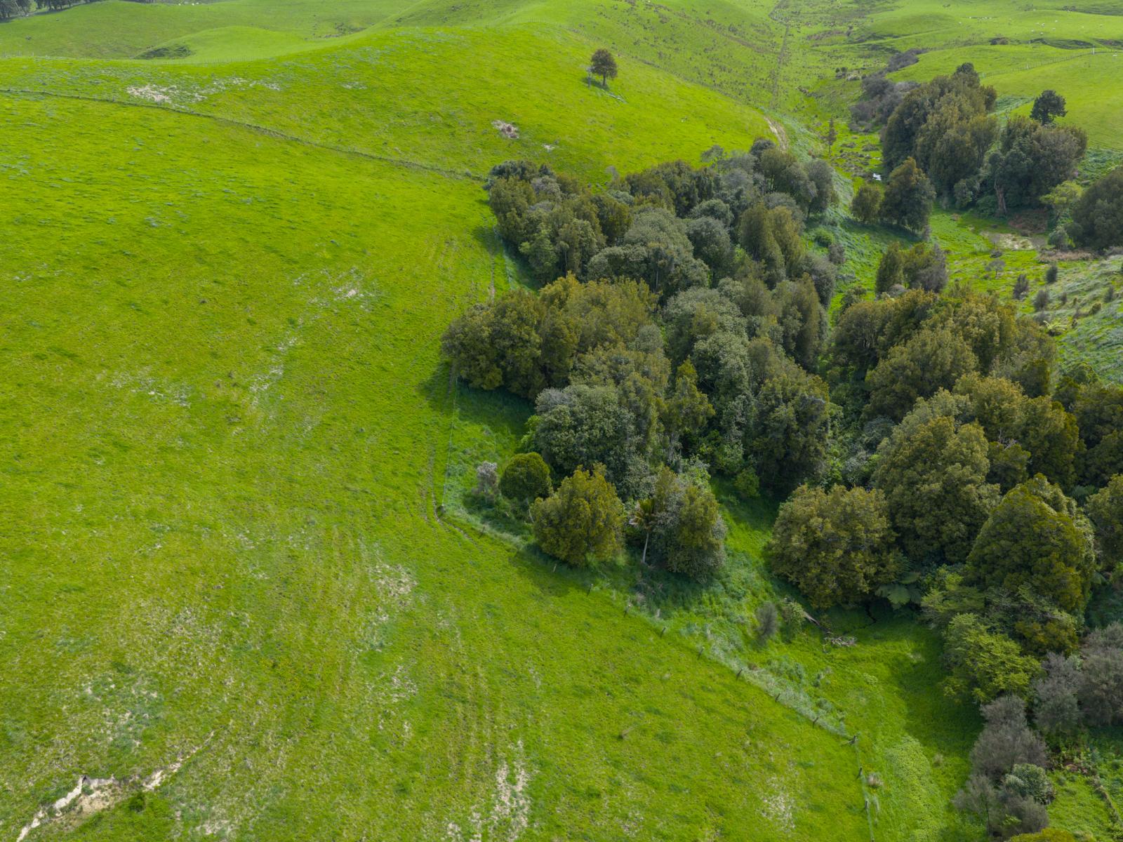 137 Zigzag Road, Pohangina Valley