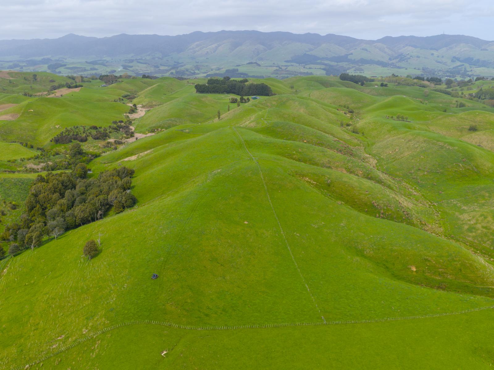 137 Zigzag Road, Pohangina Valley