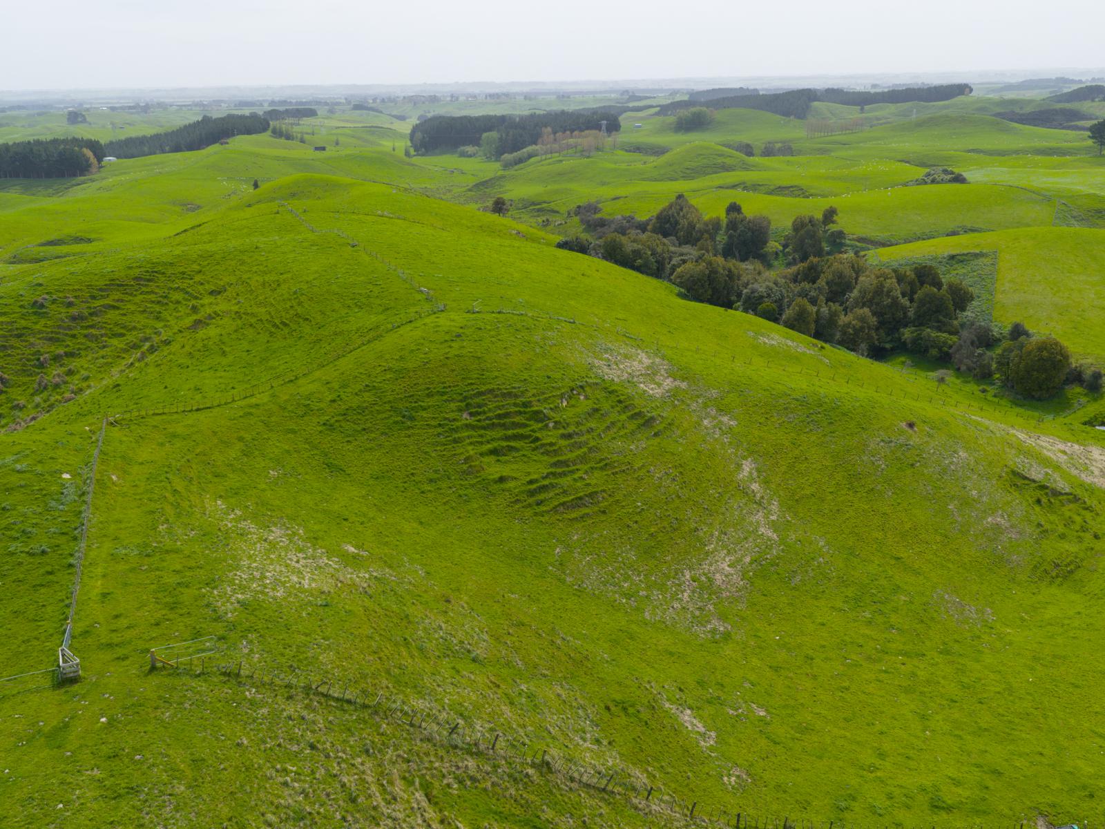 137 Zigzag Road, Pohangina Valley