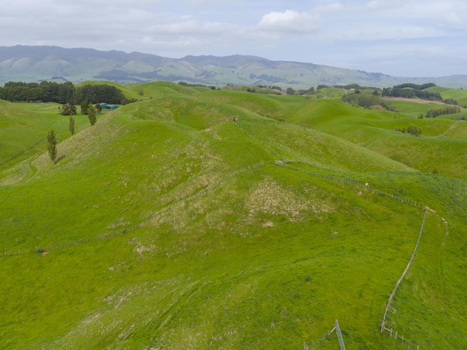 137 Zigzag Road, Pohangina Valley