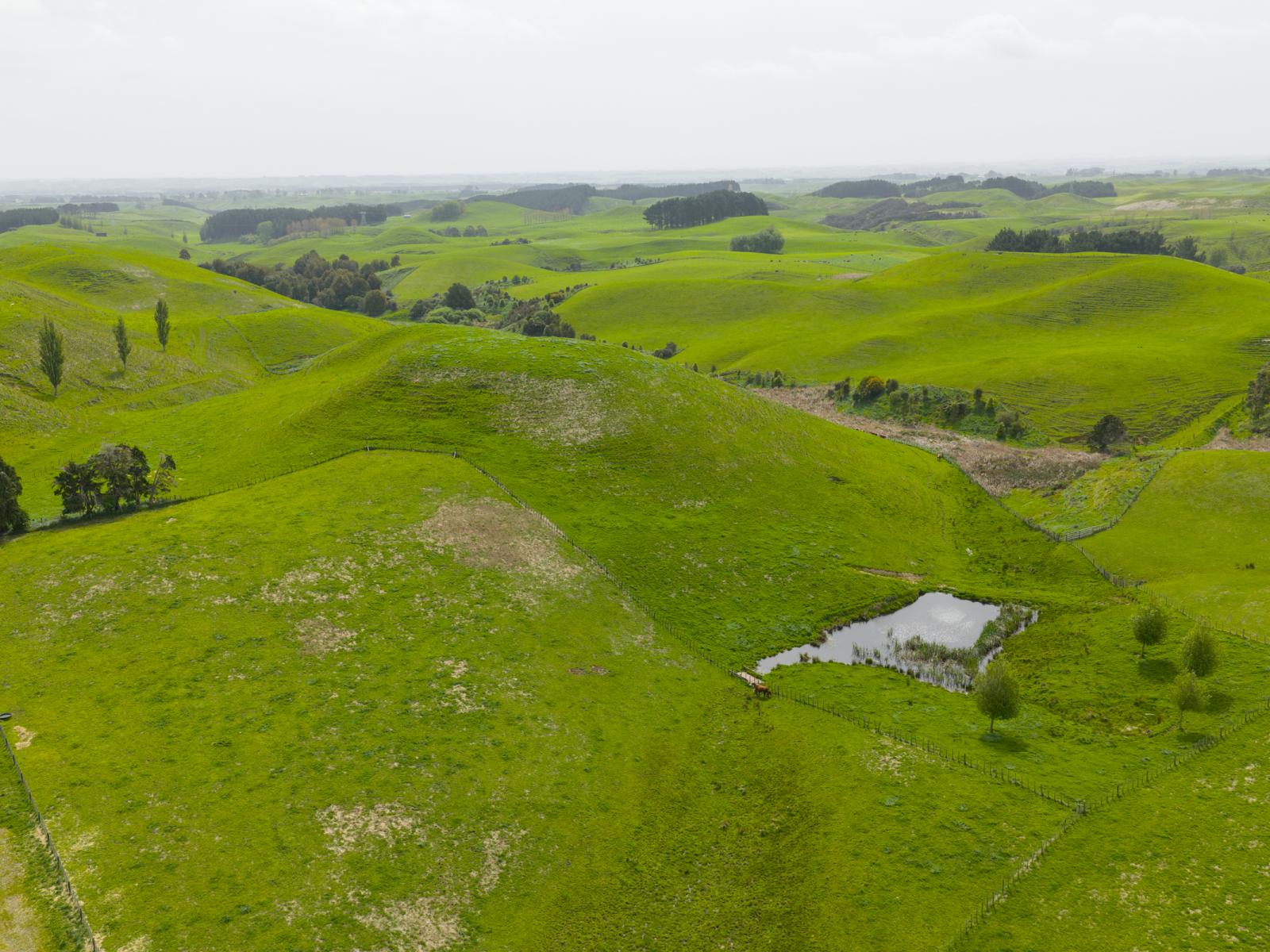 137 Zigzag Road, Pohangina Valley