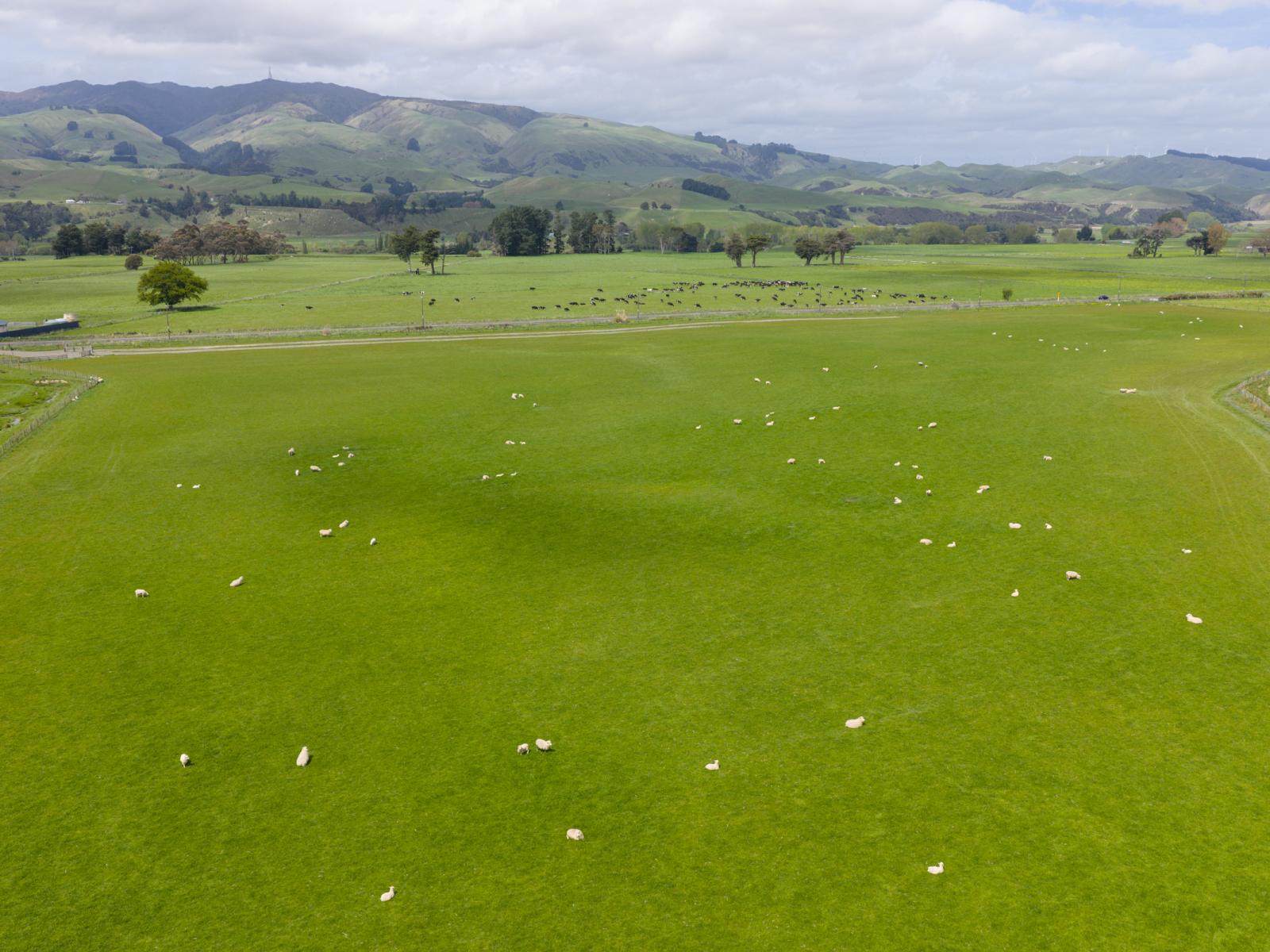 643 a and b Pohangina Road, Ashhurst