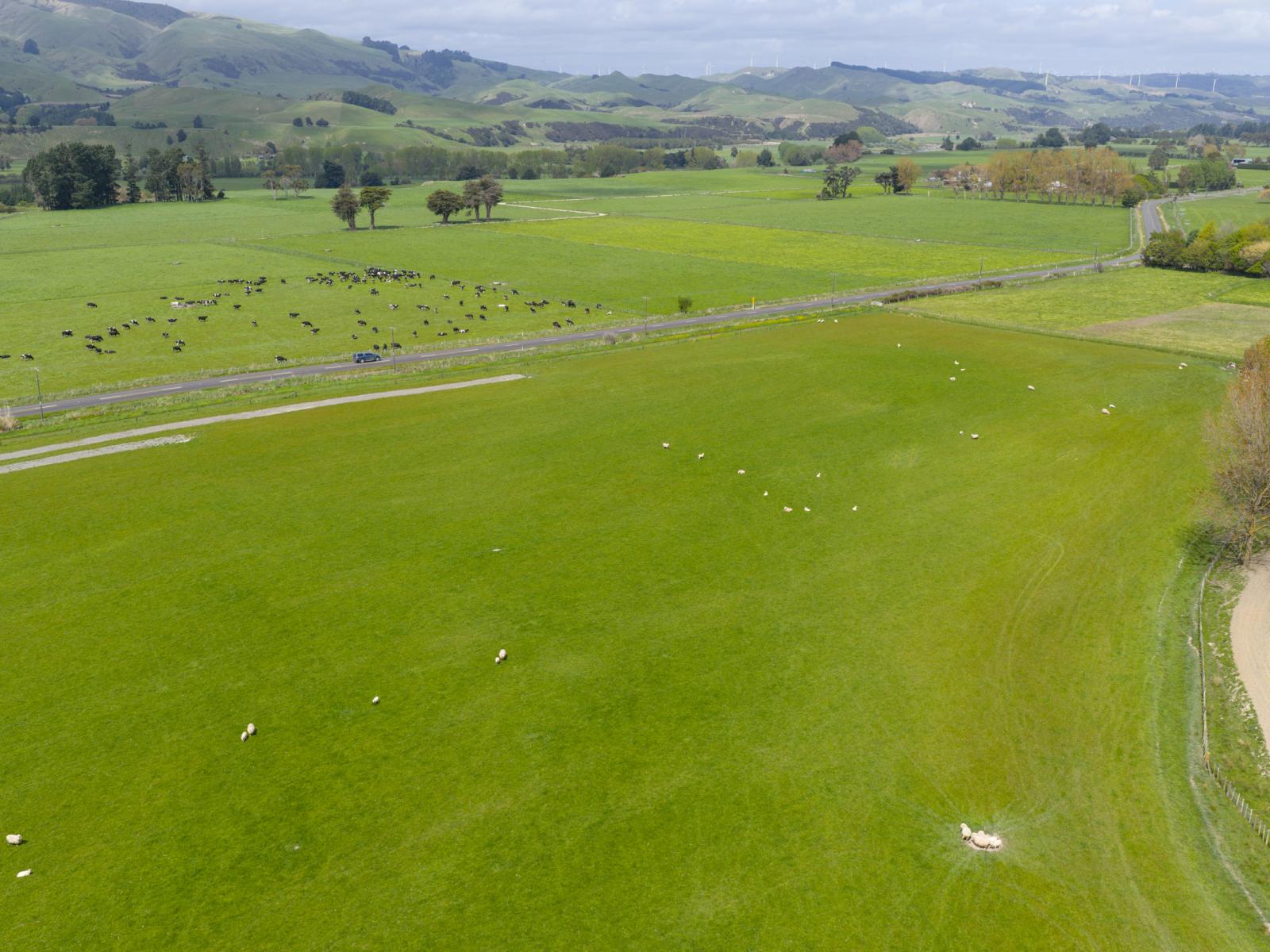 643 a and b Pohangina Road, Ashhurst