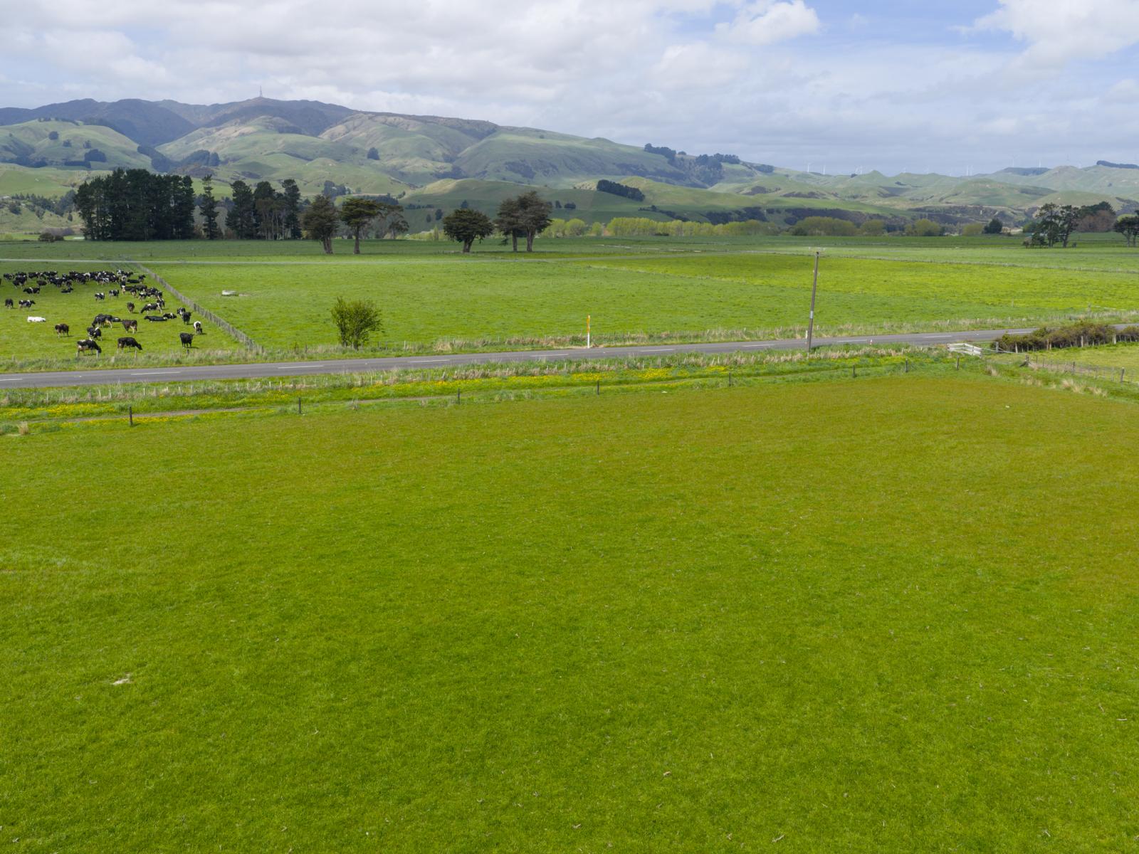 643 a and b Pohangina Road, Ashhurst