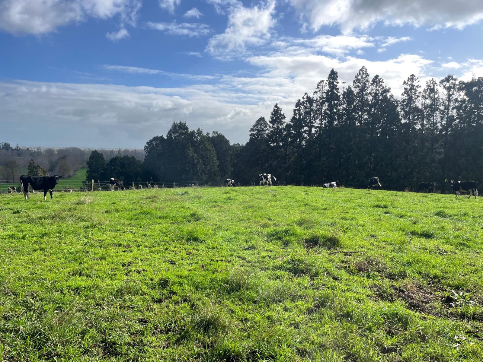 7541 State Highway 2, Paeroa