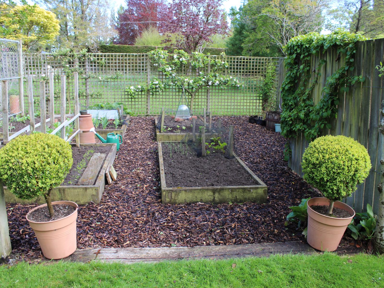 282 Mckenzie Road, Browns