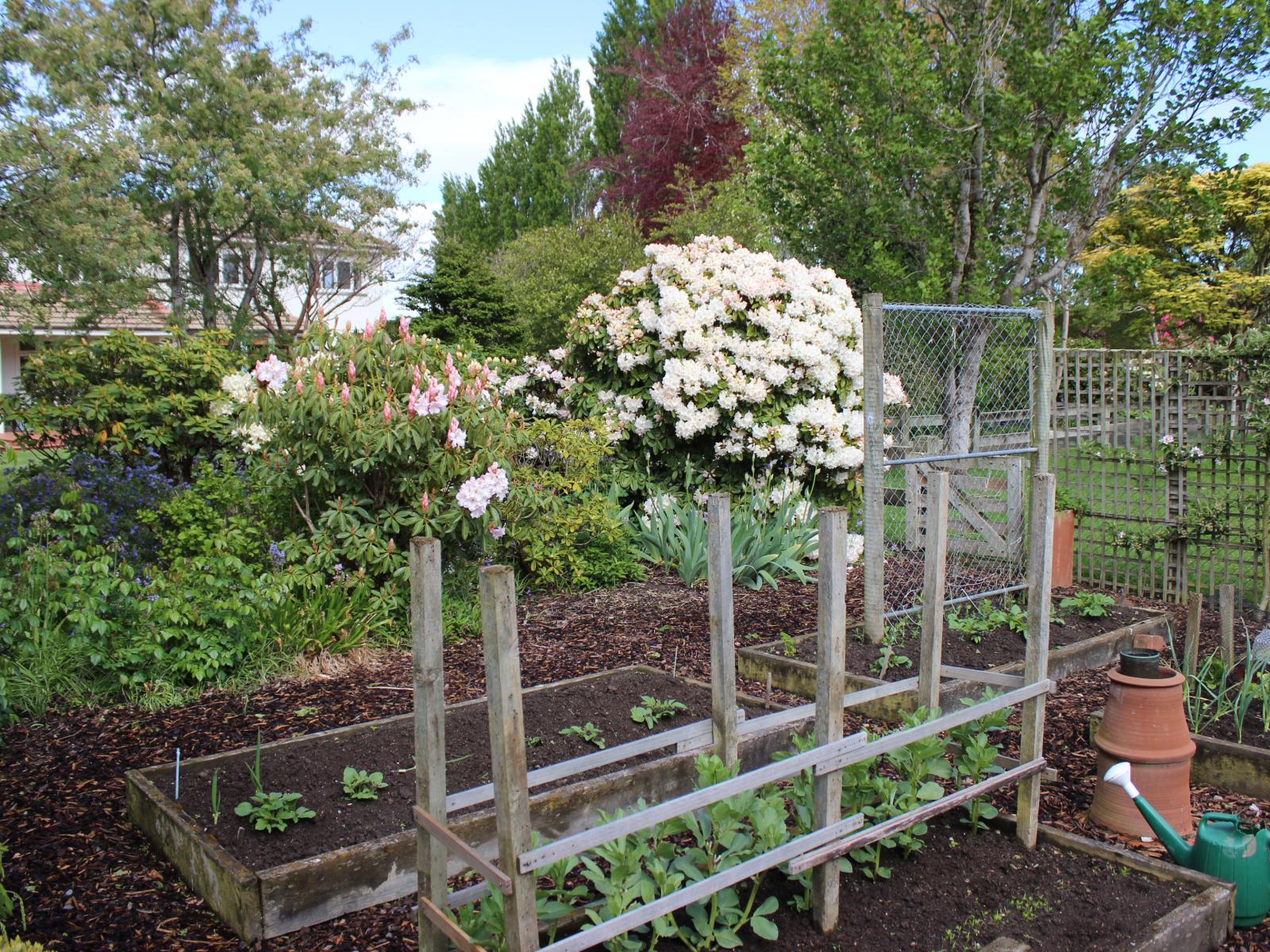 282 Mckenzie Road, Browns