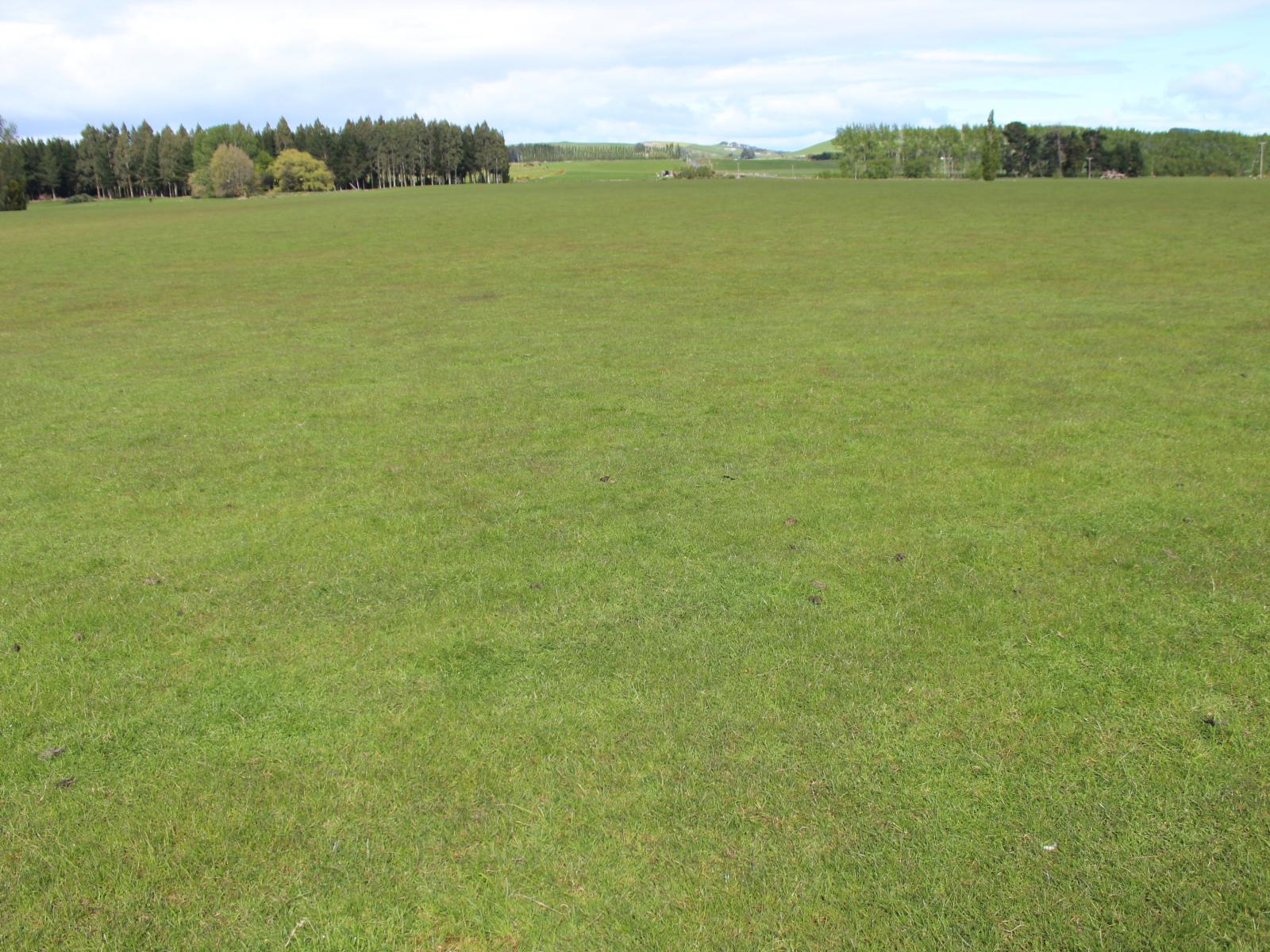 282 Mckenzie Road, Browns