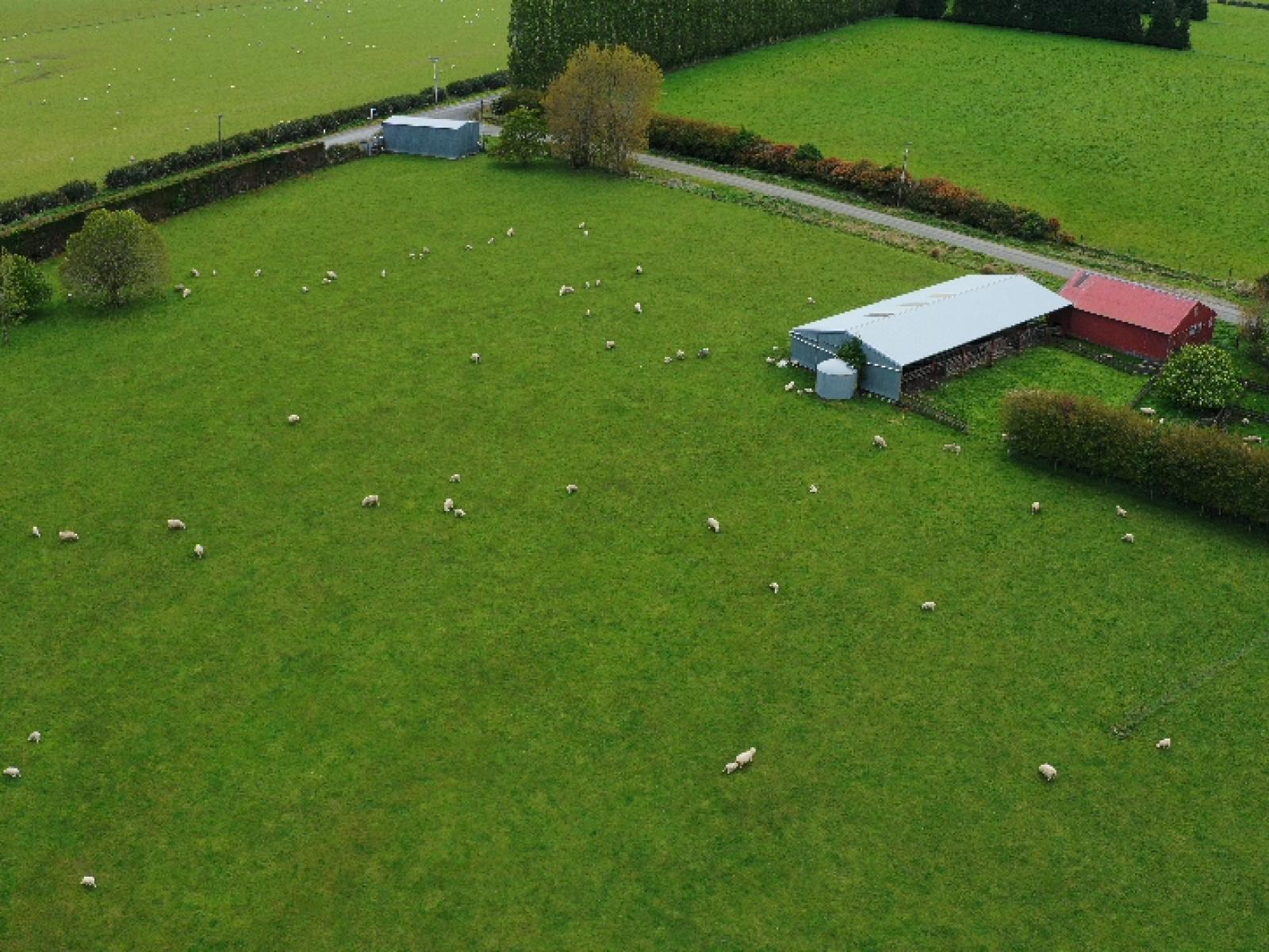 282 Mckenzie Road, Browns