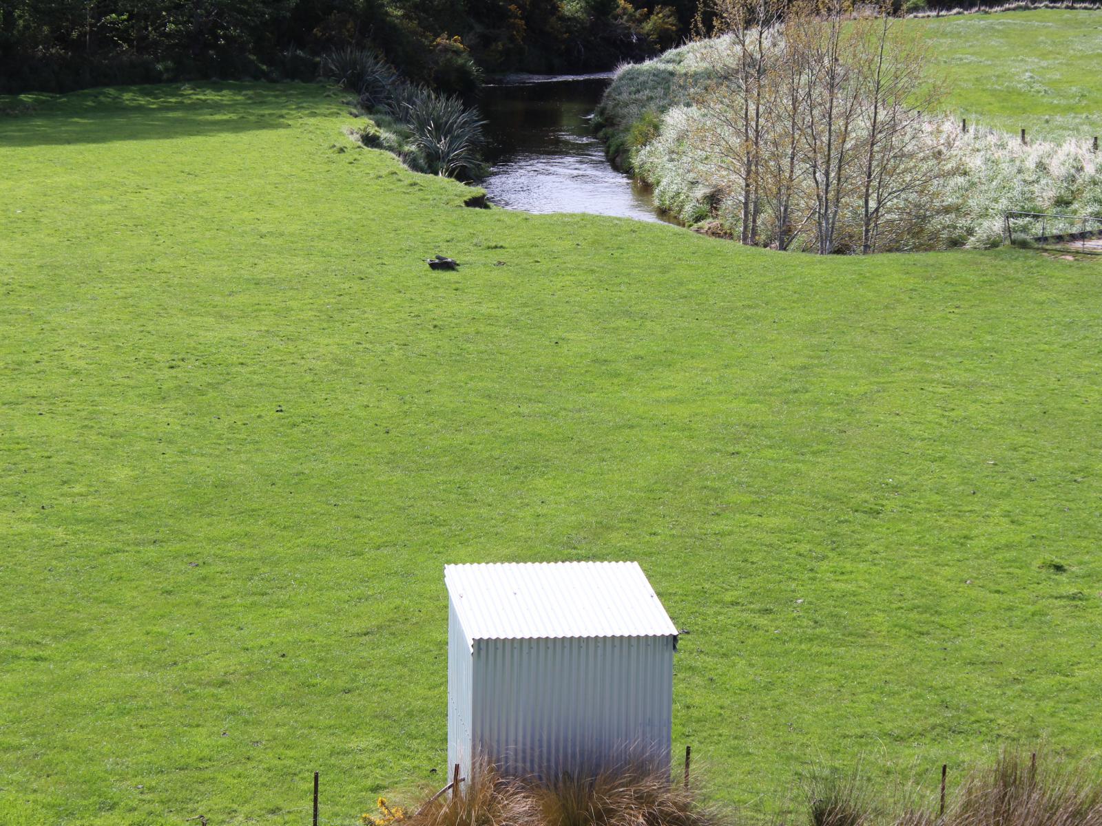 282 Mckenzie Road, Browns