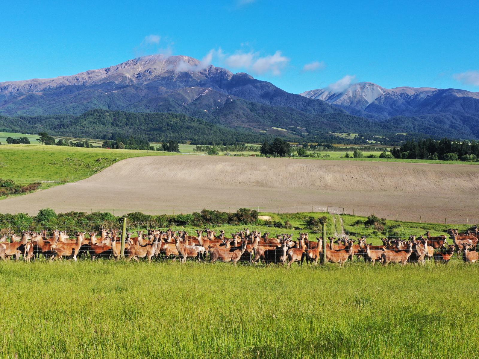 136 Prices Road, Mount Somers