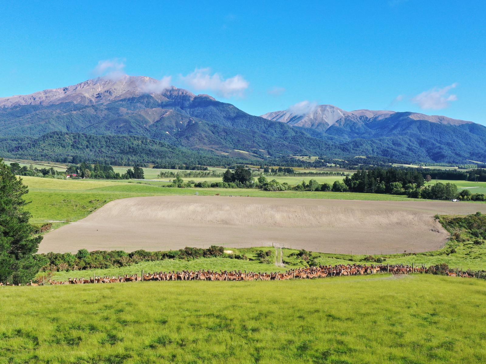 136 Prices Road, Mount Somers