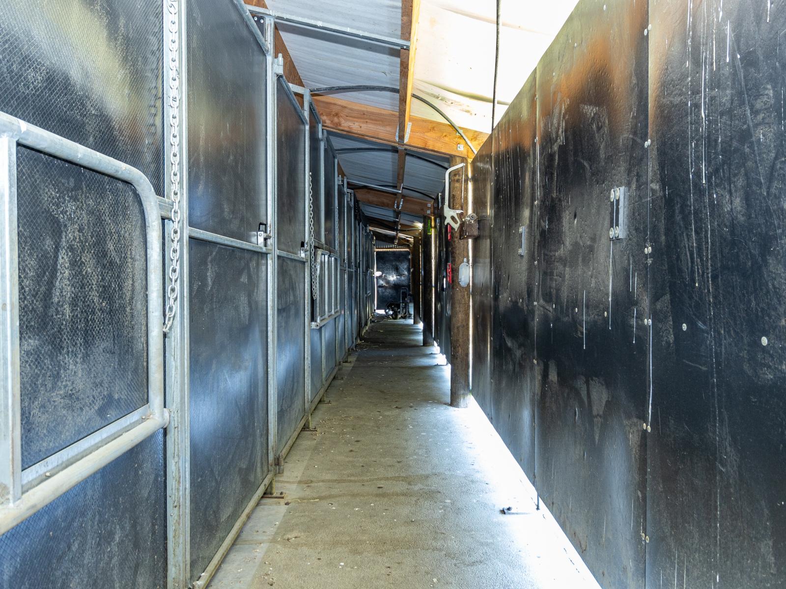 136 Prices Road, Mount Somers