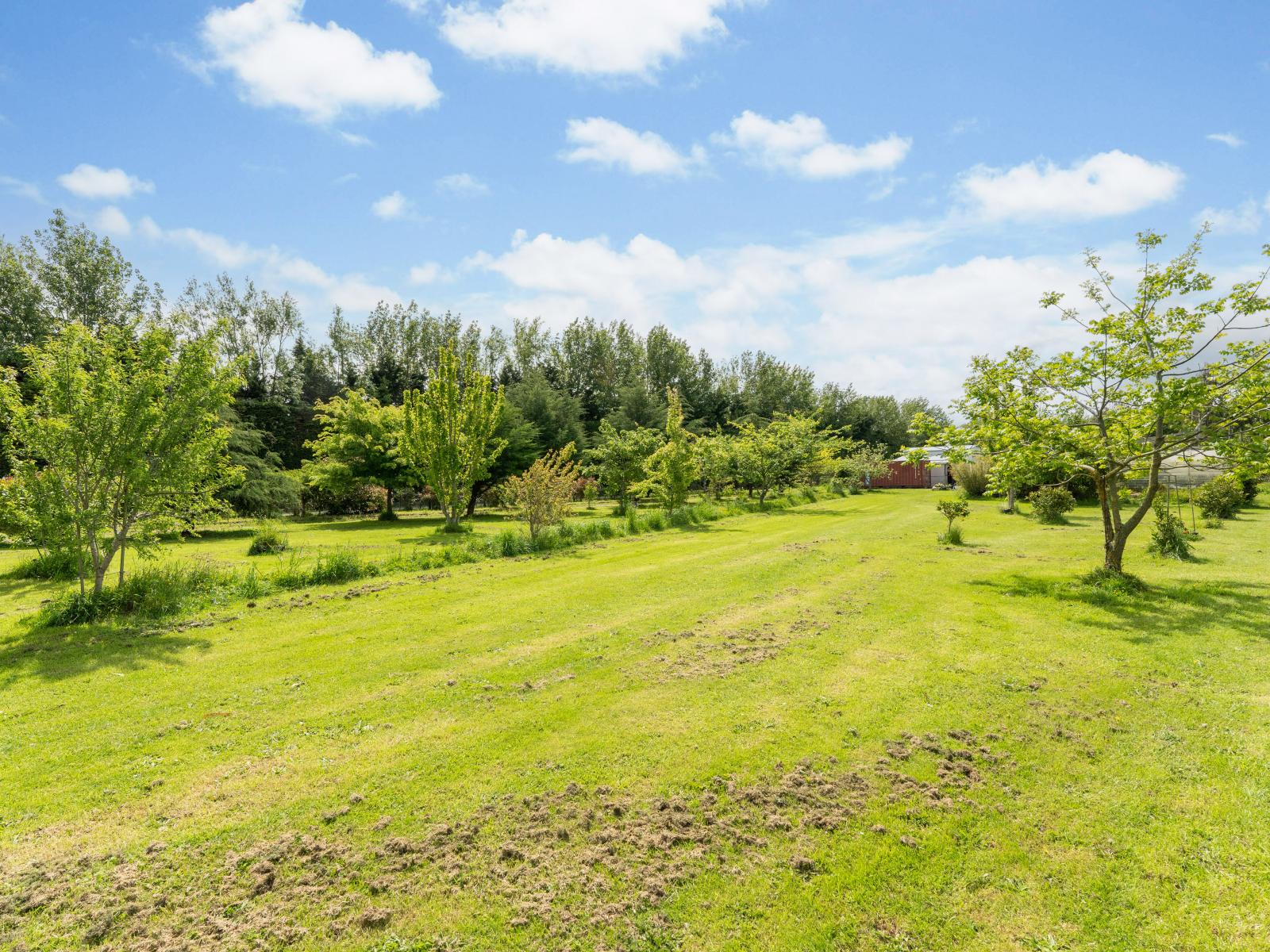 456 Kaikokopu Road, Brunswick