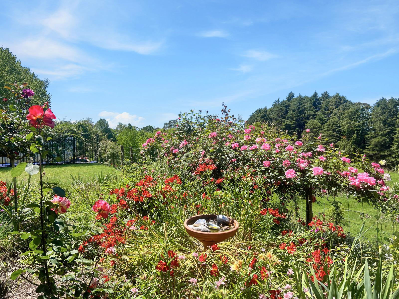 131B Hogg Road, Rotoma