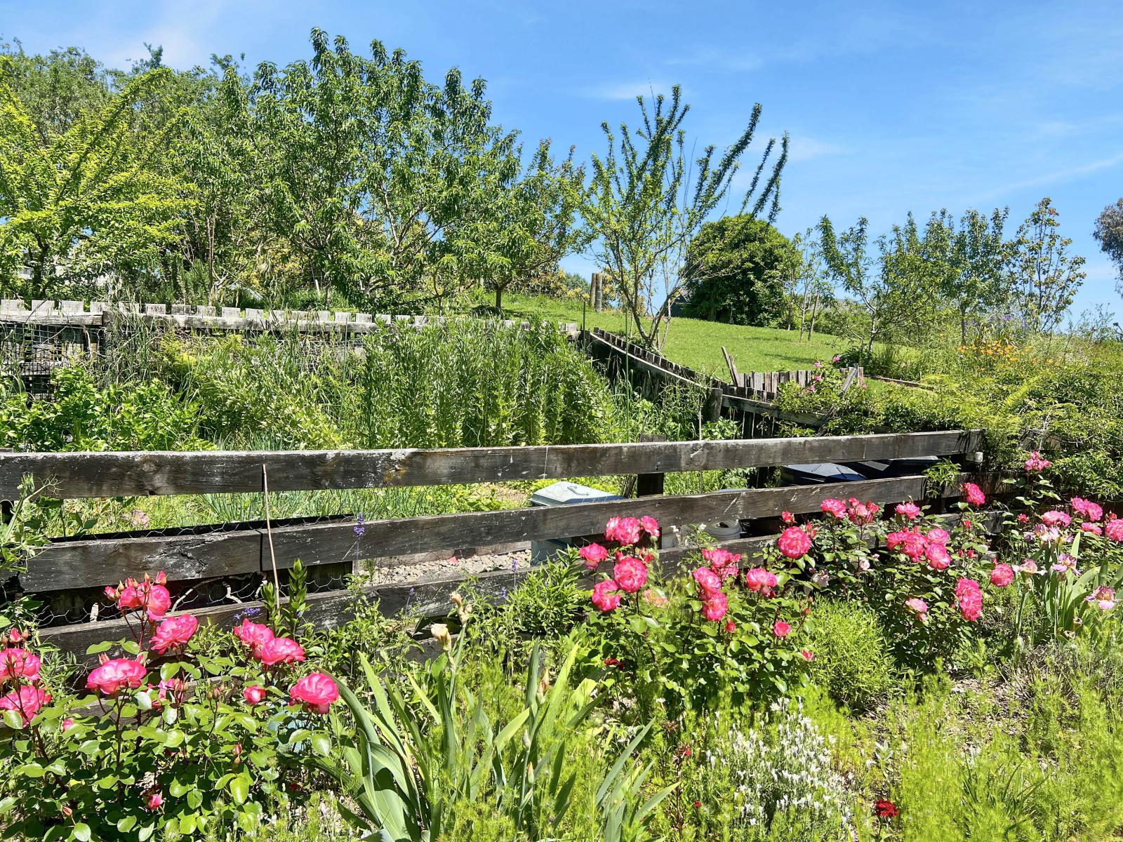 131B Hogg Road, Rotoma