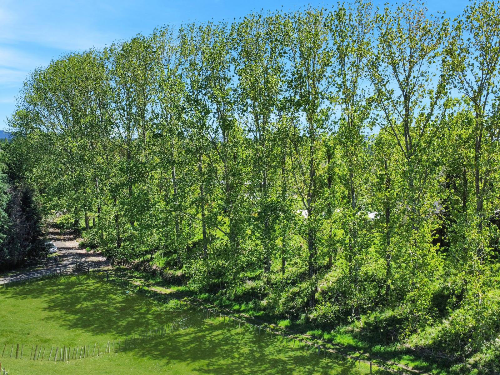 131B Hogg Road, Rotoma