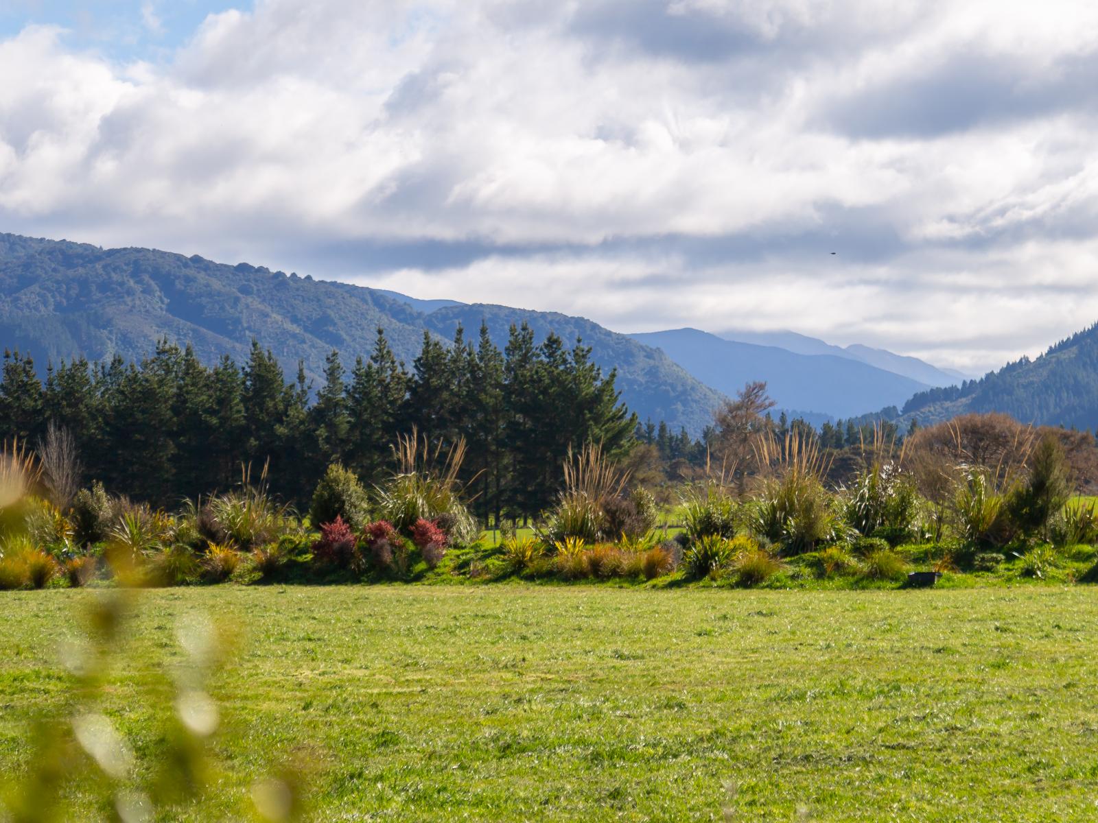 3, 277 Woodside Road, Greytown