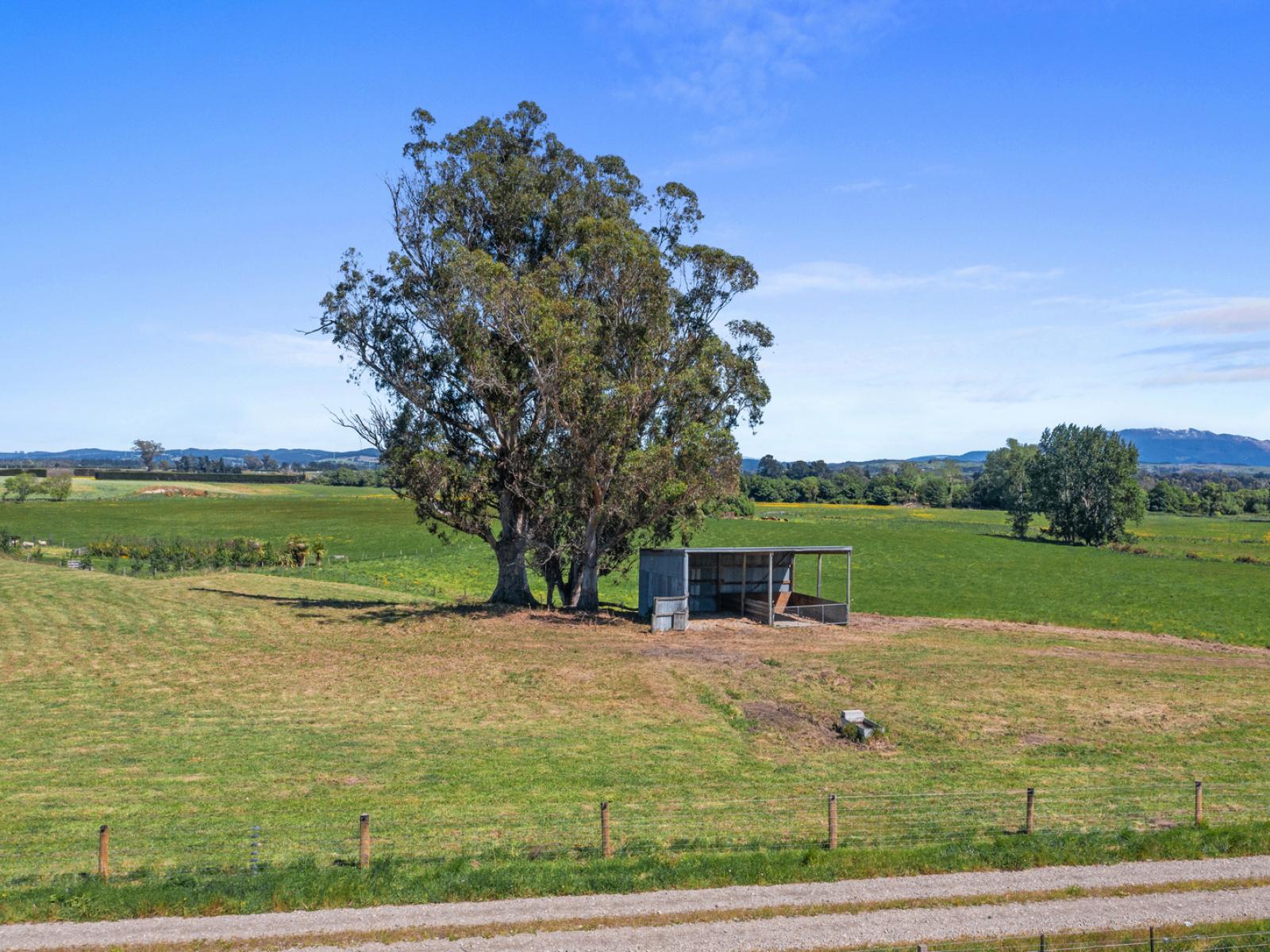 238 Leithfield Road, Leithfield