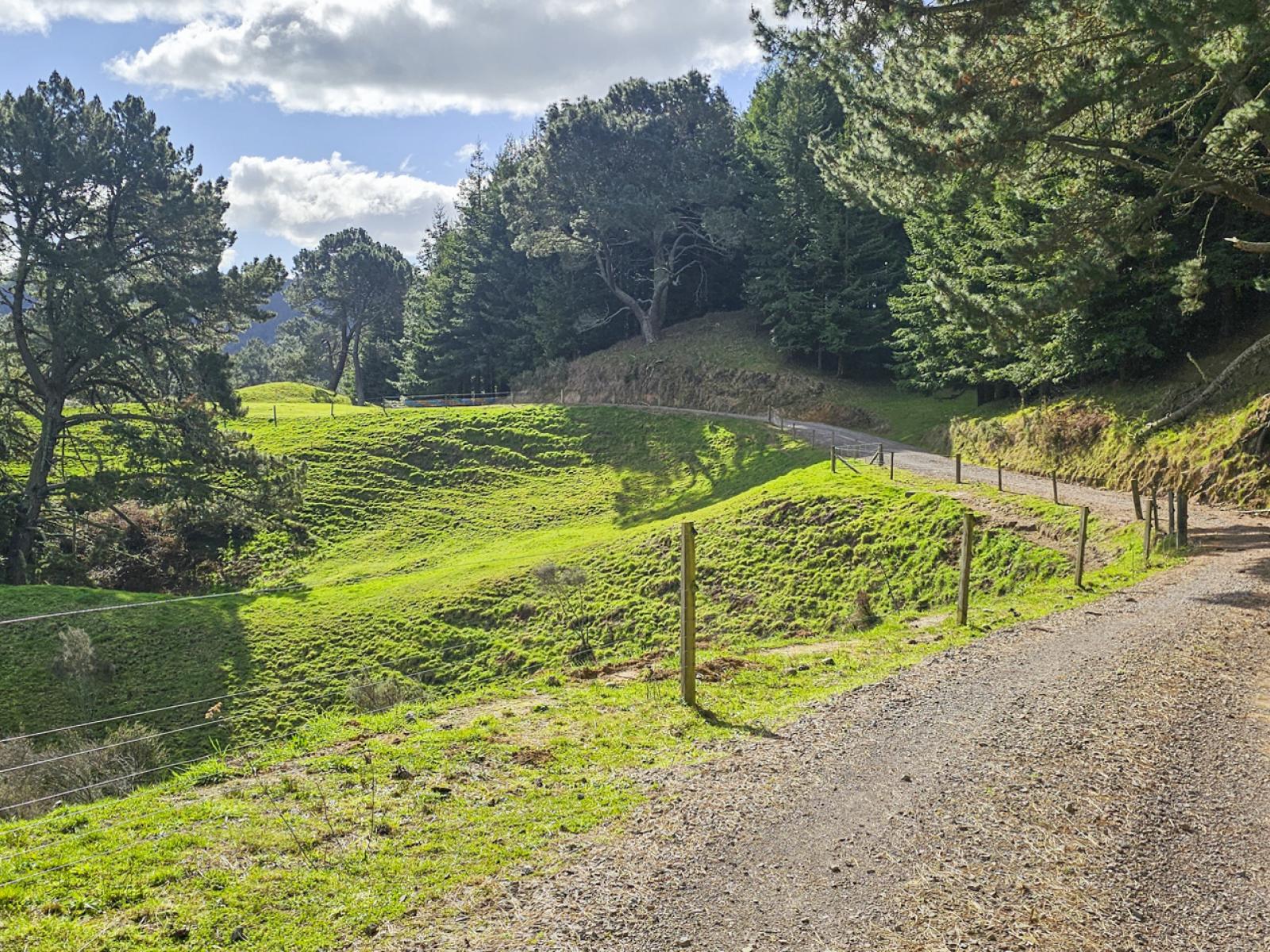 294B Dods Road, Waikite Valley
