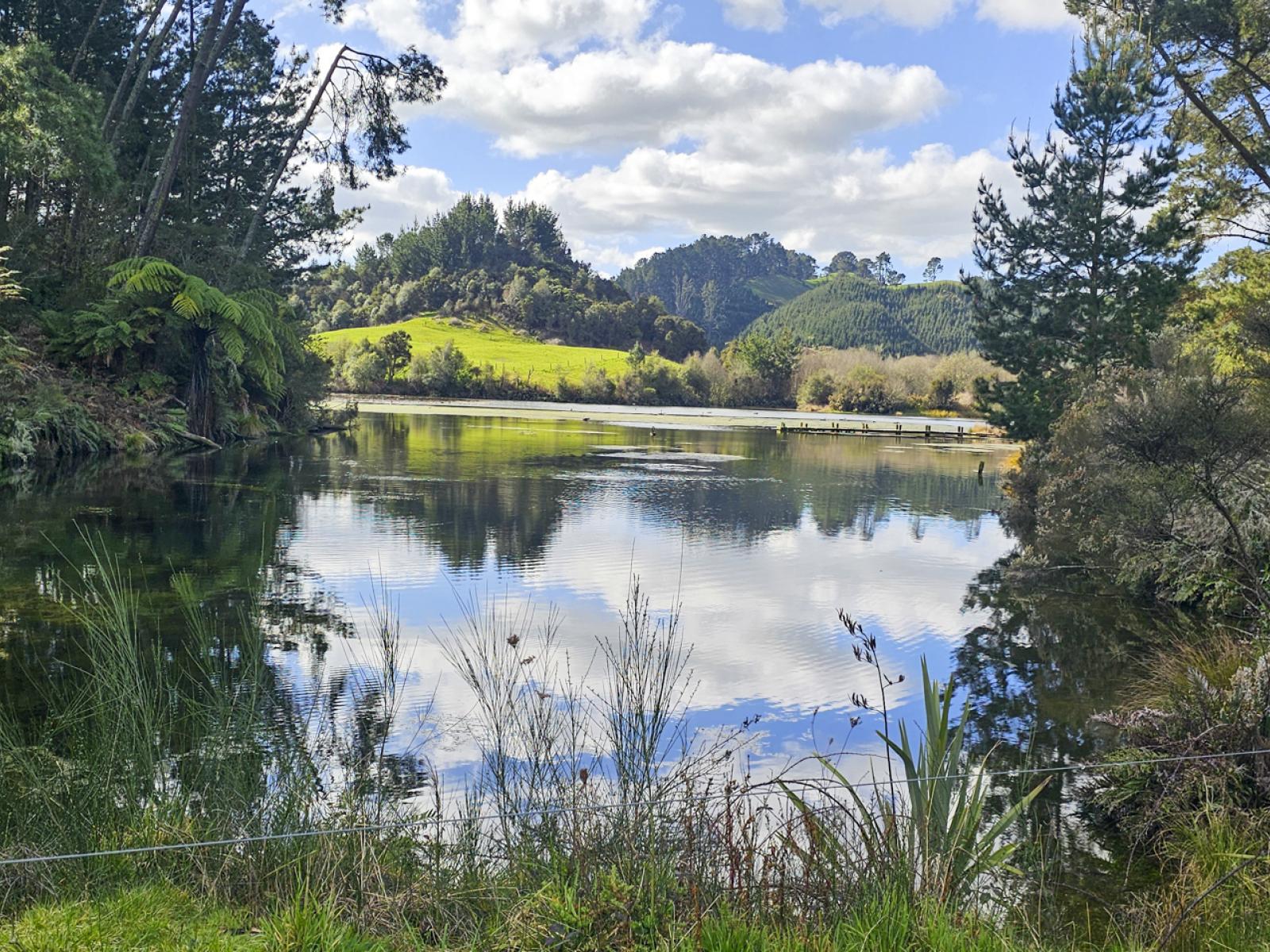 294B Dods Road, Waikite Valley