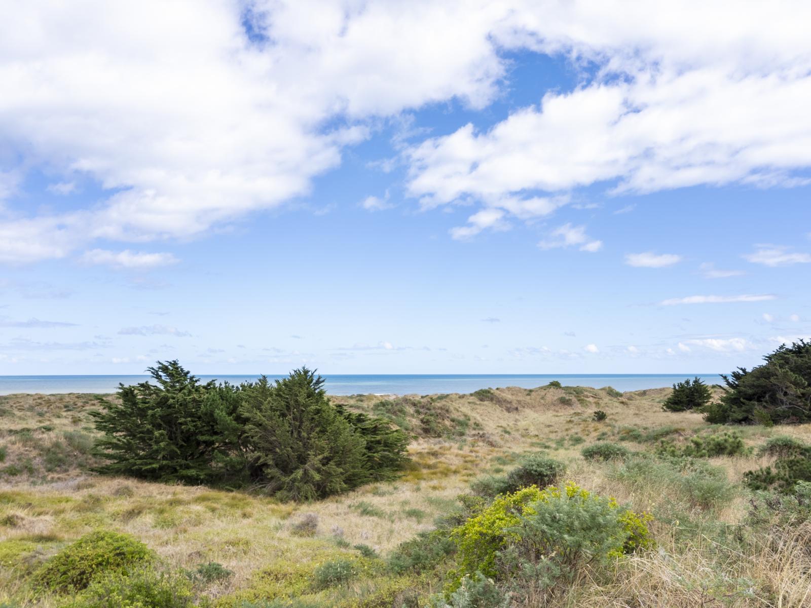 8 Signal Street, Foxton Beach