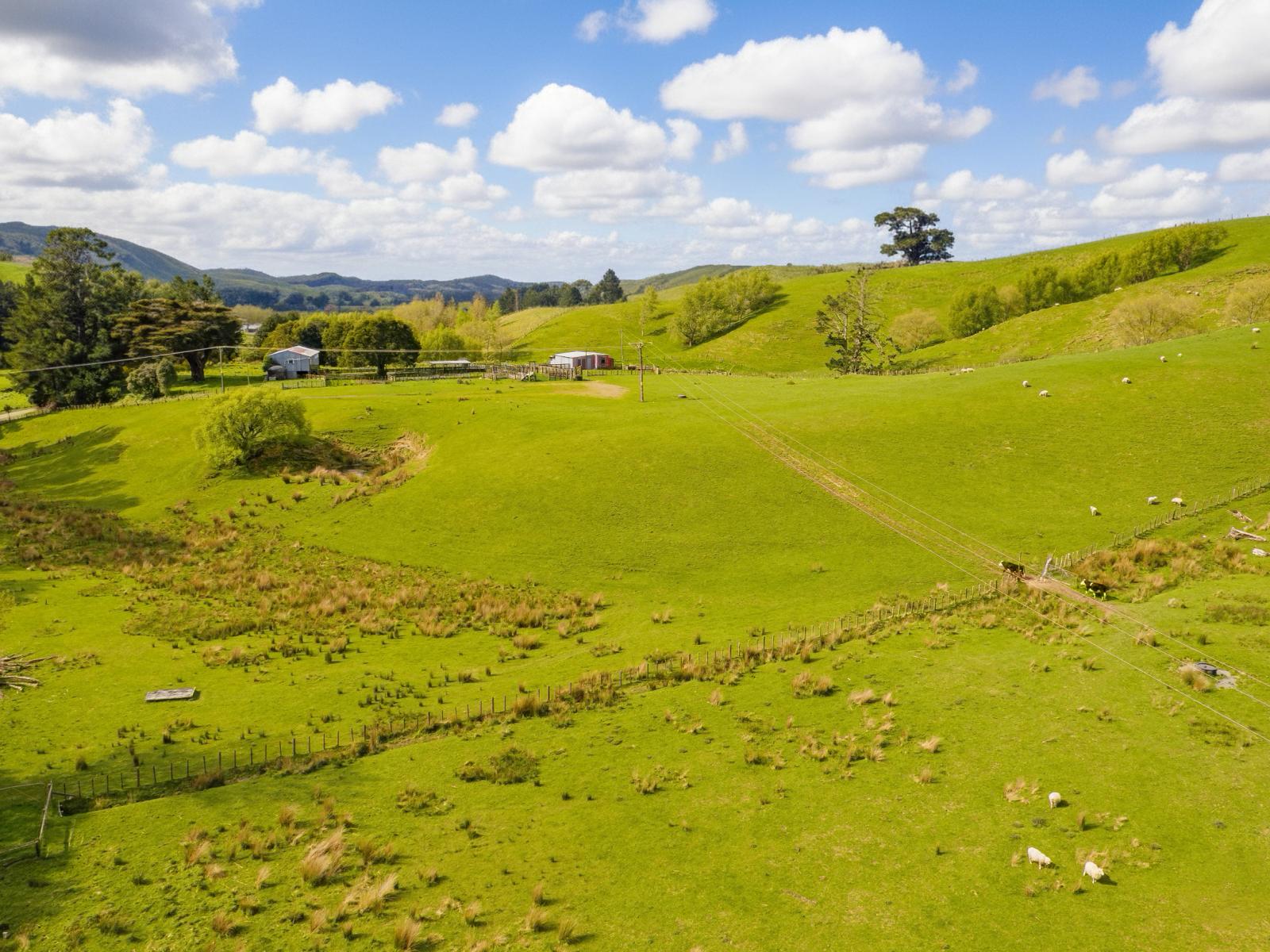 390 North Road, Mauriceville