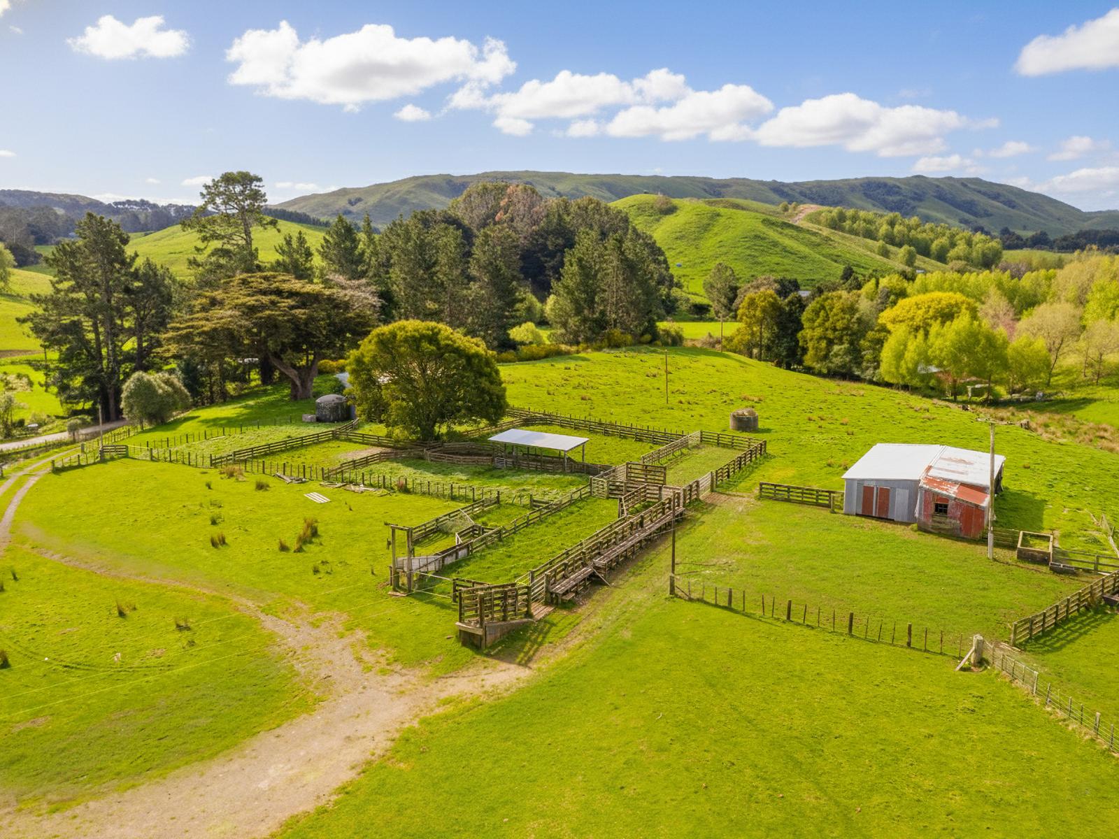 390 North Road, Mauriceville