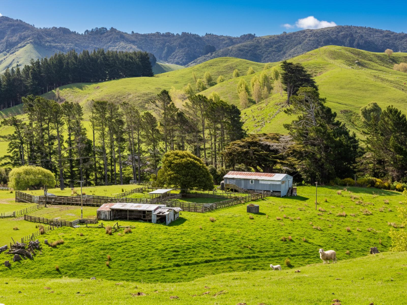 390 North Road, Mauriceville