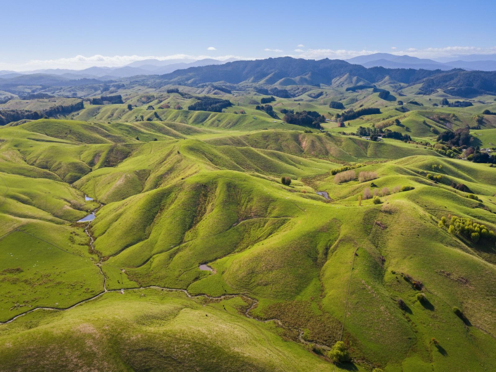 390 North Road, Mauriceville