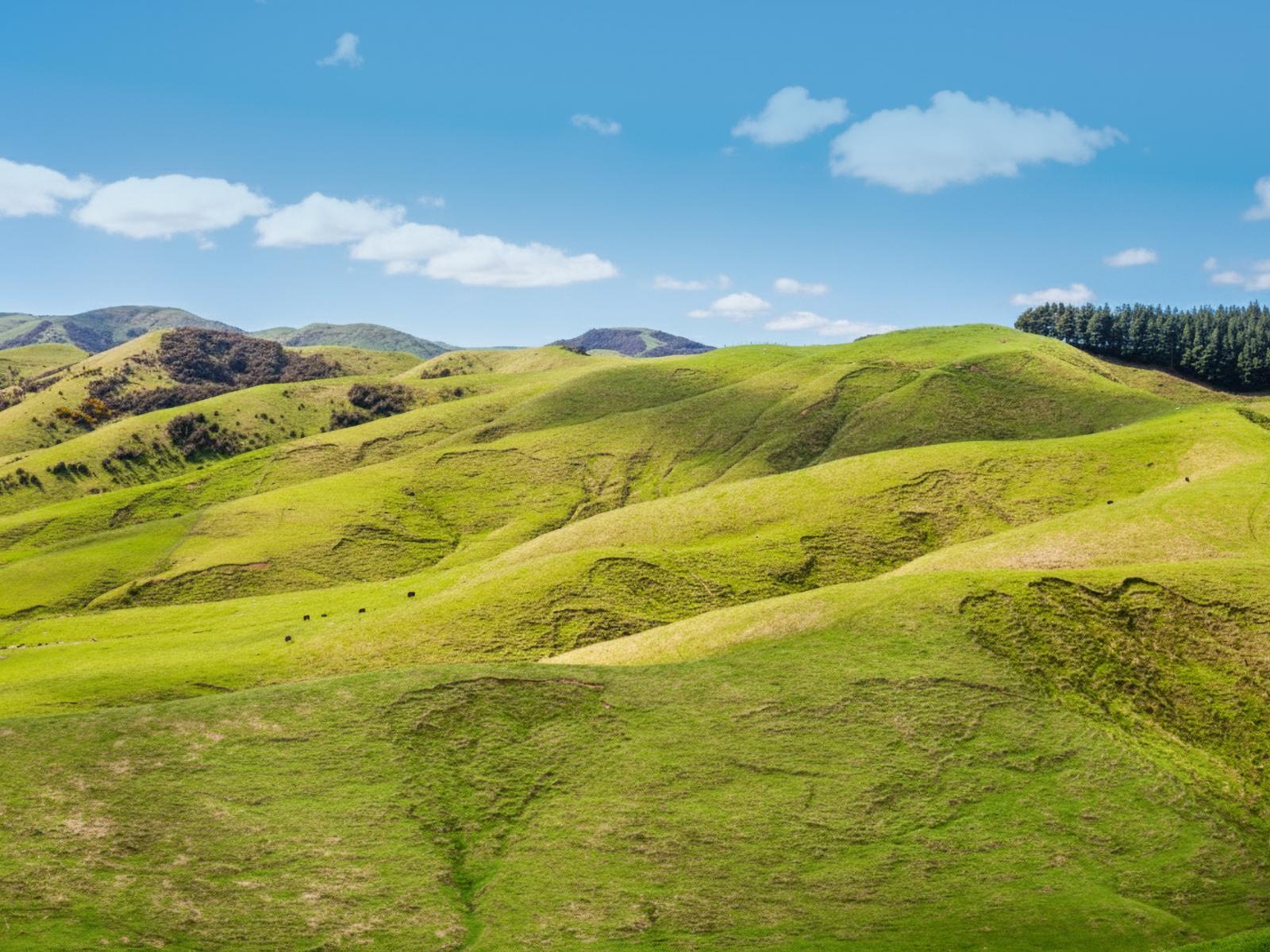 390 North Road, Mauriceville