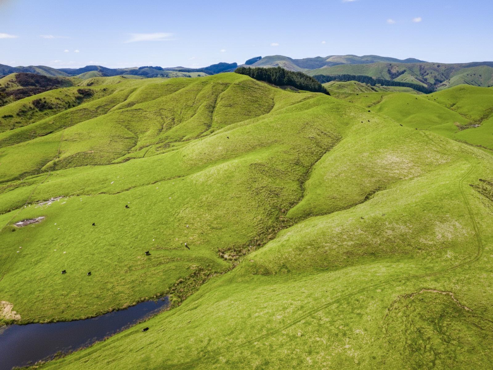 390 North Road, Mauriceville