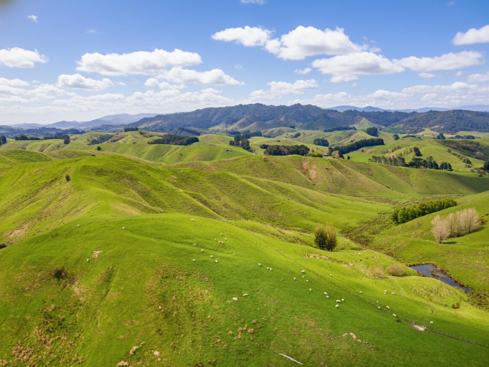 390 North Road, Mauriceville