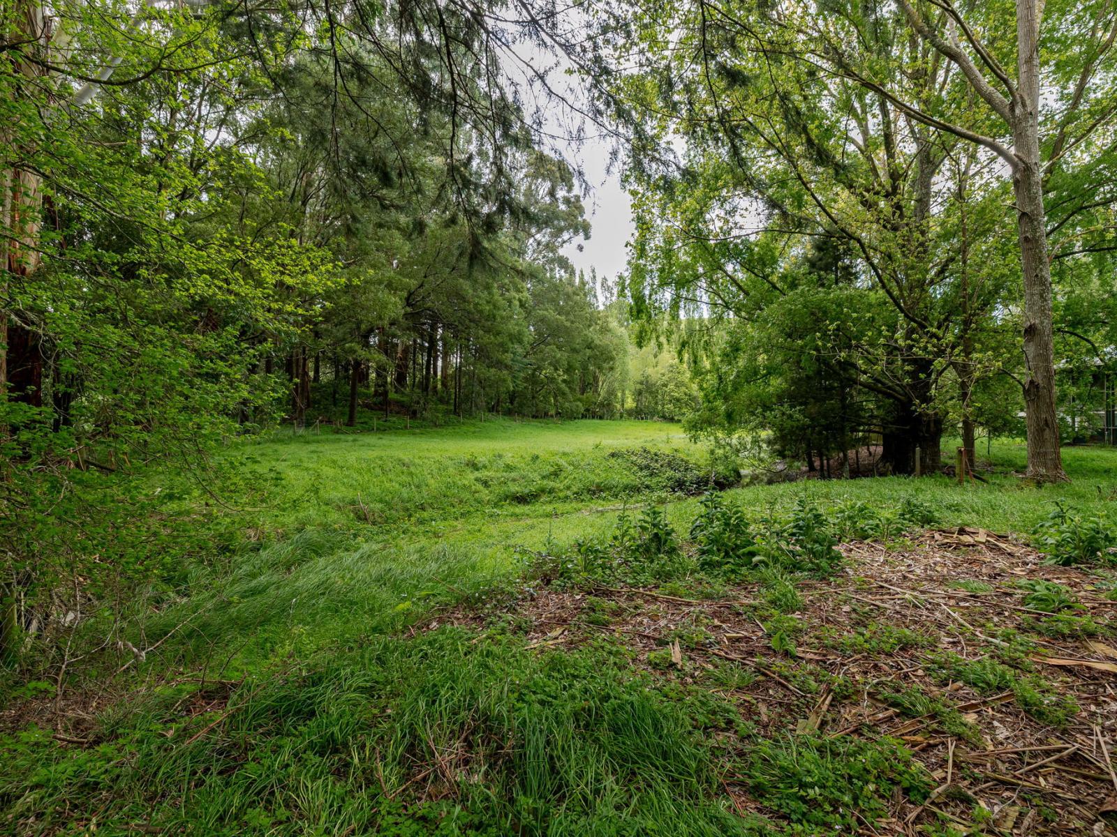 111 Hinemoa Valley Road, Pahiatua