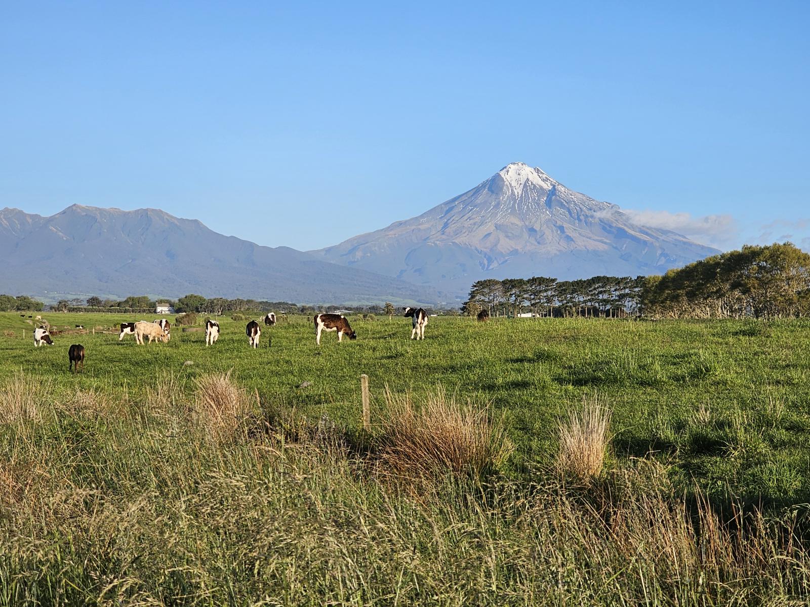 7104 South Road, Warea