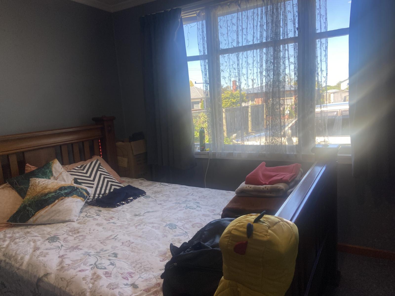 8 Windsor Street, Allenton