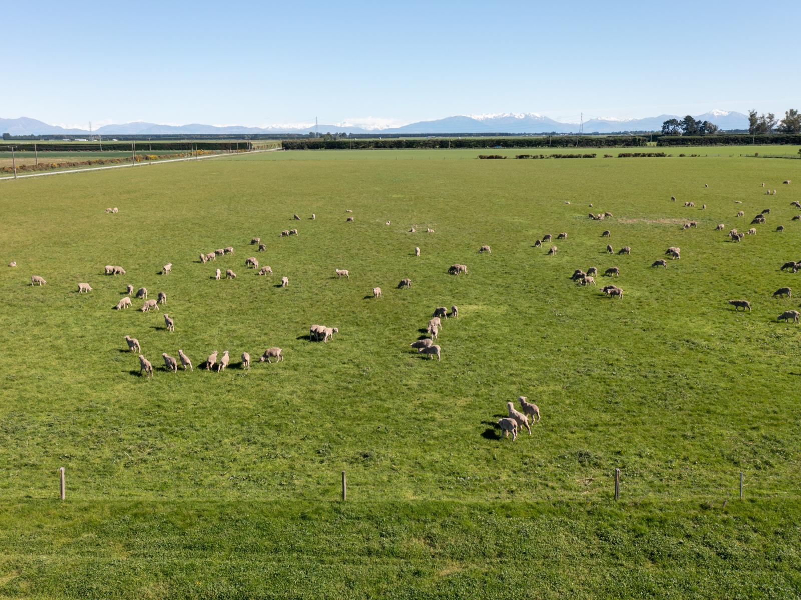 1033 Boundary Road, Ashburton