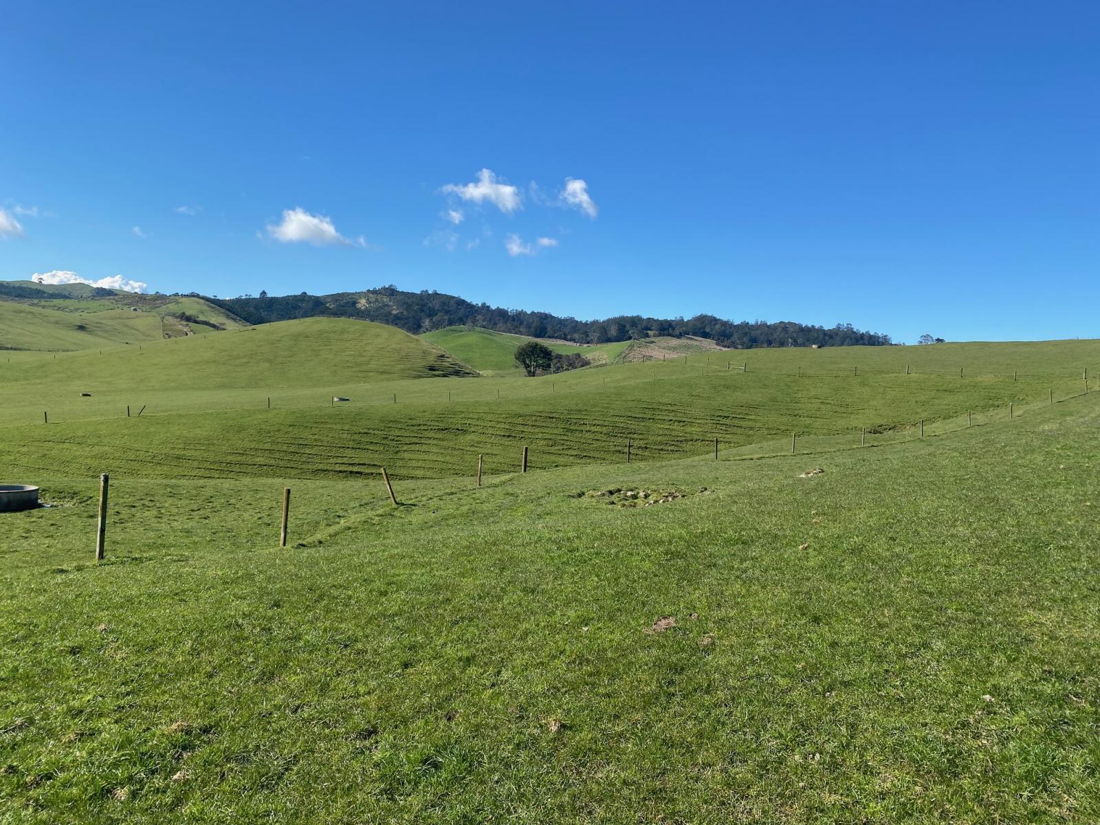 740D Tainui Road, Hoe-O-Tainui