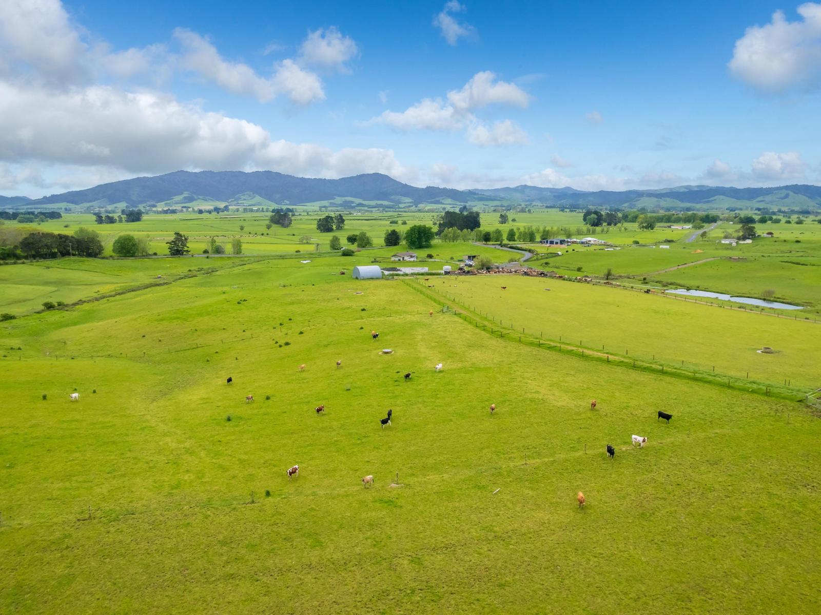 740D Tainui Road, Hoe-O-Tainui
