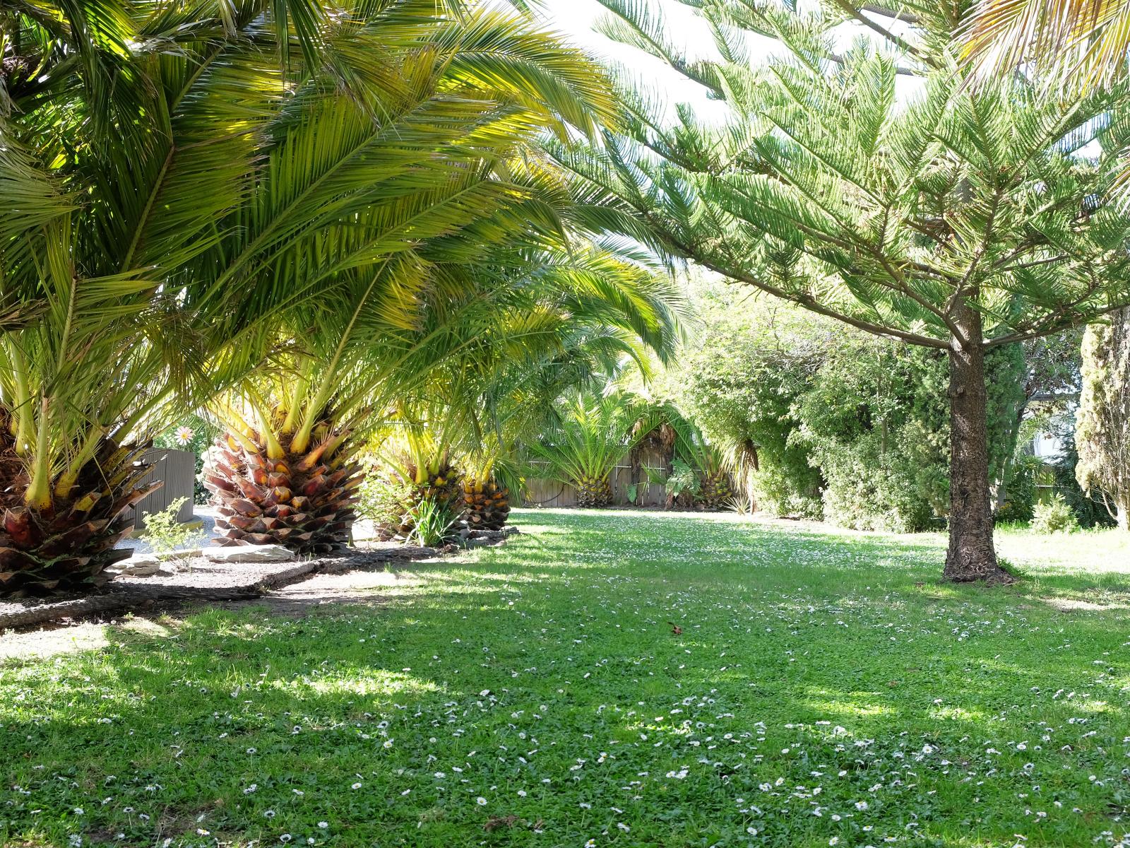 245 Pukeuri-Oamaru Road, Pukeuri