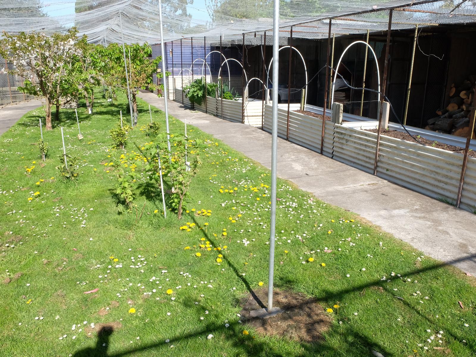 245 Pukeuri-Oamaru Road, Pukeuri