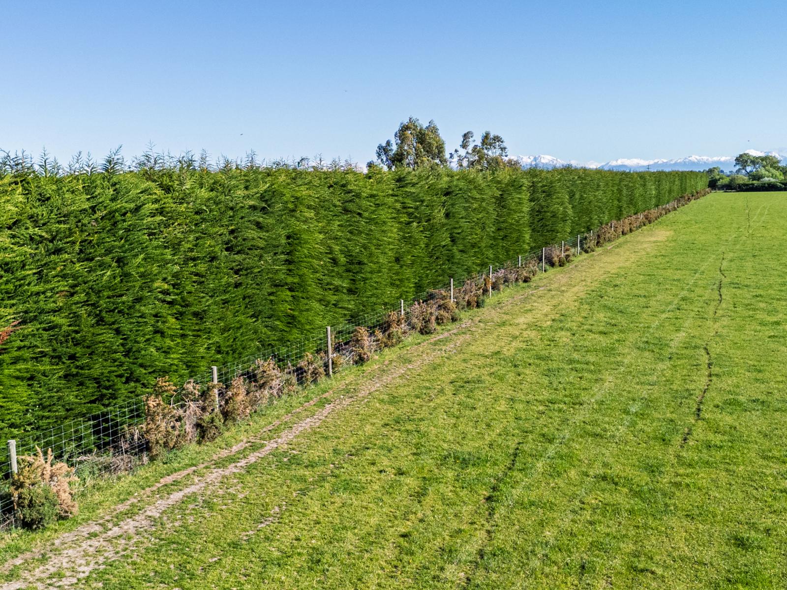 439 Dawsons Road, Ashburton