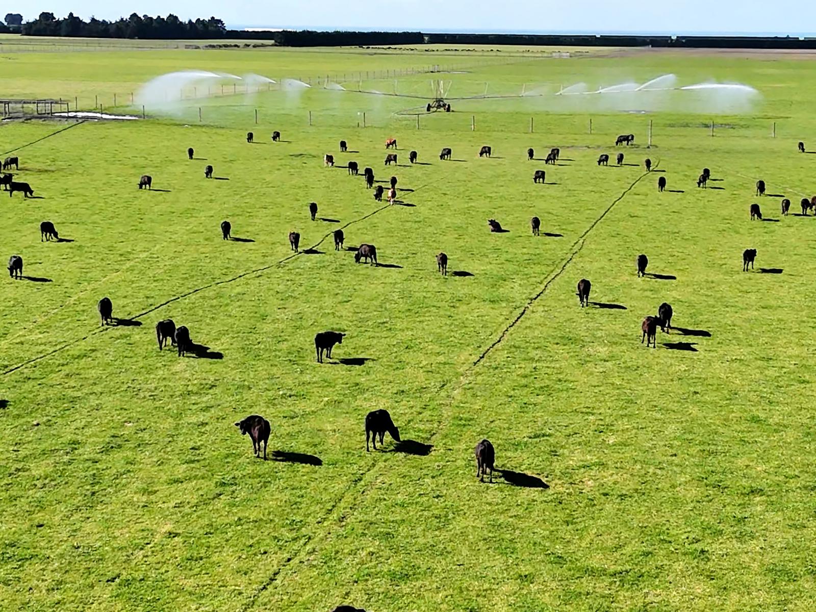 439 Dawsons Road, Ashburton